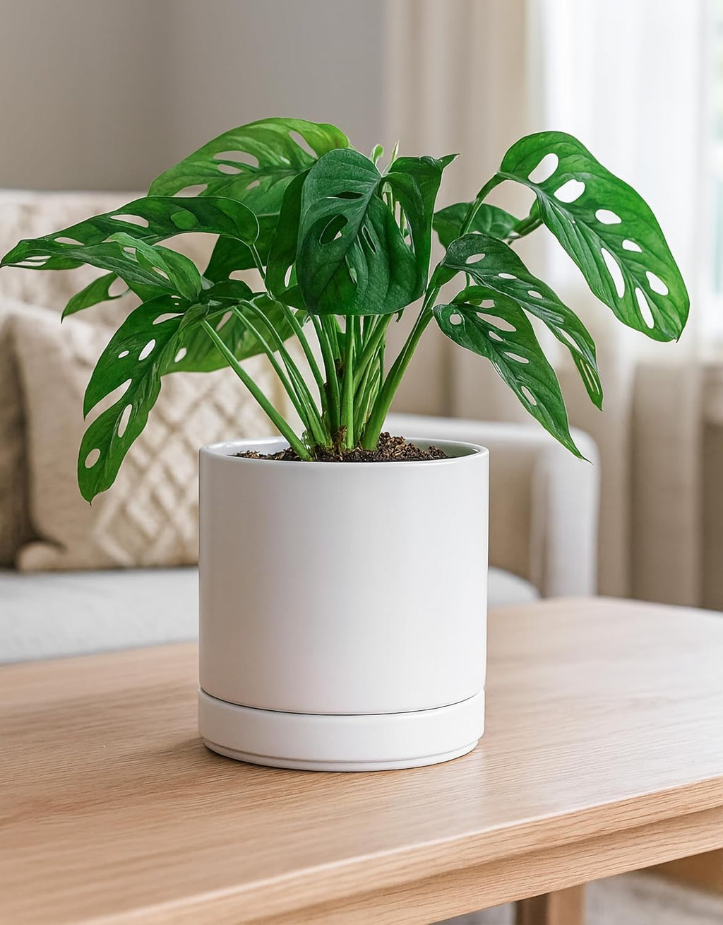 D'vine Dev 6.5 Inch Ceramic Planter Pot, White, 94-O-C-1 | Modern Cylinder Design, Drainage Hole & Saucer Included