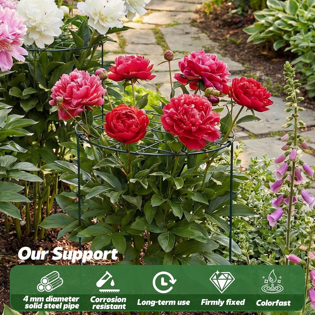 4 Pack Round Peony Cages and Supports 20 x 30 Inches (D x H) Grow Through Grid Plant Brace Plant Support Stake Heavy