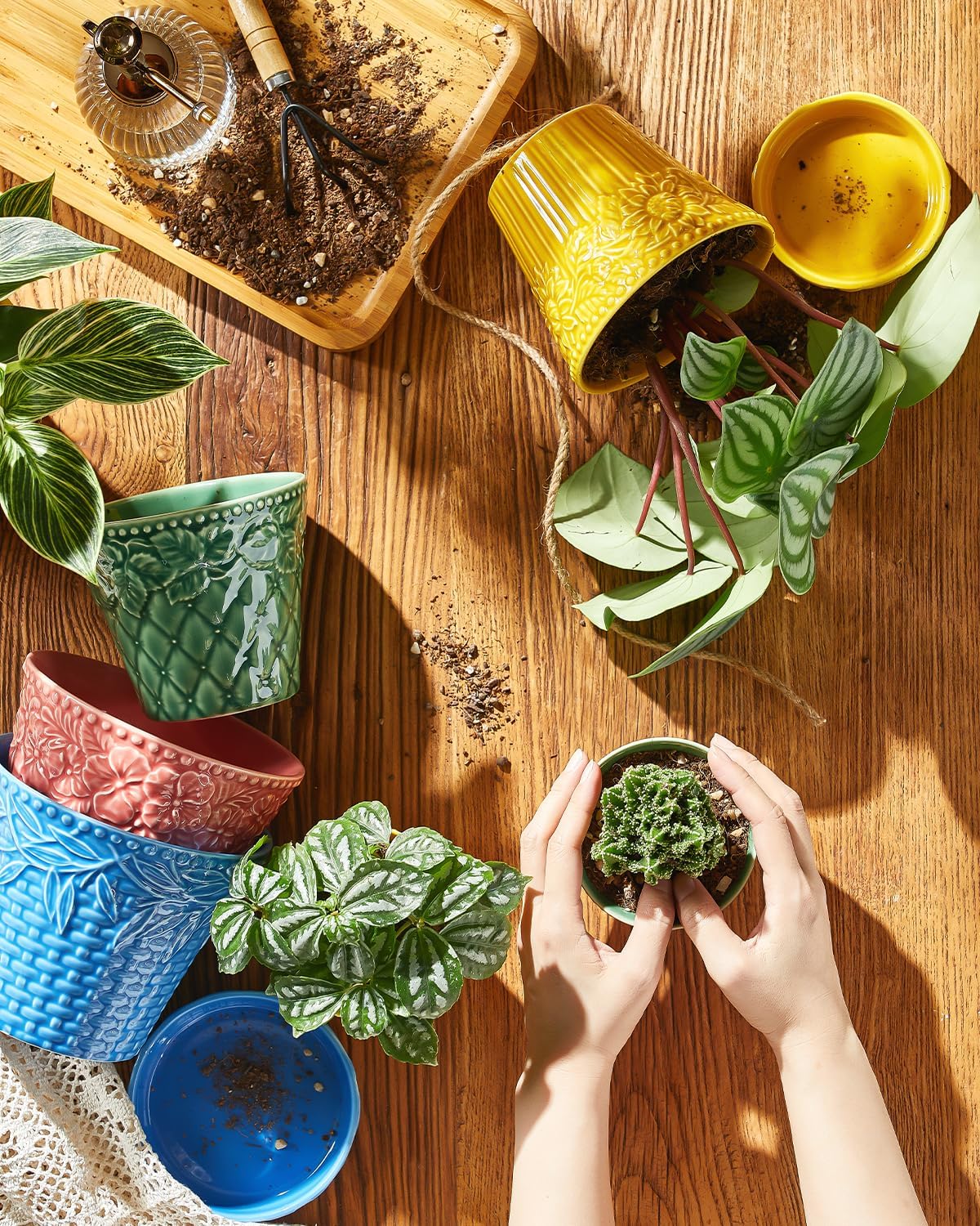 Metahom Succulent Ceramic Pots, 3.8 Inch Small Plant Pots with Drainage Hole & Saucer, Flower Planter Pot for House