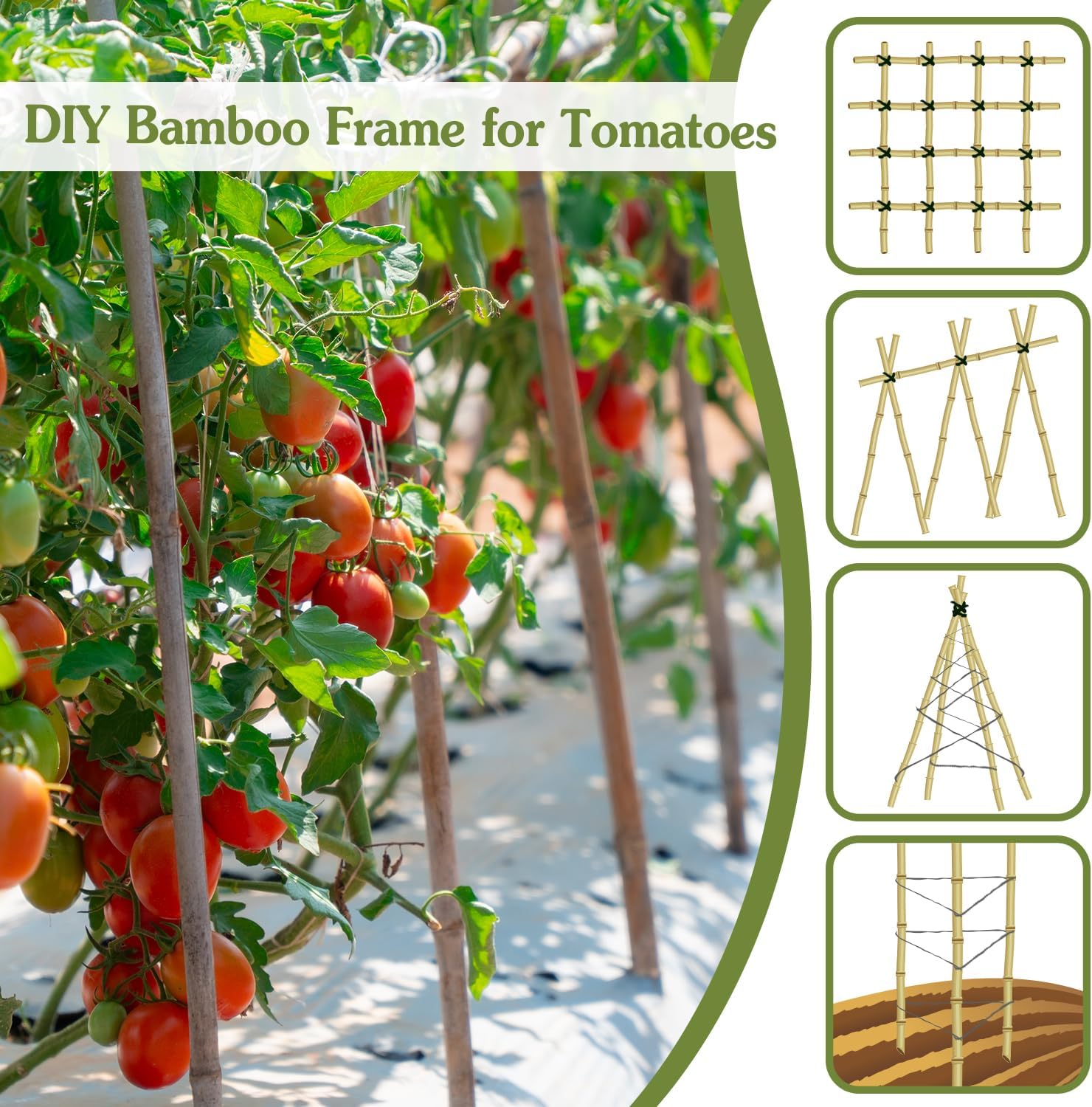 Plant Stakes 4.8FT, Natural Bamboo Stakes,20Pcs Sturdy Bamboo Garden Stakes | HAINANSTRY Bamboo Sticks for Plants