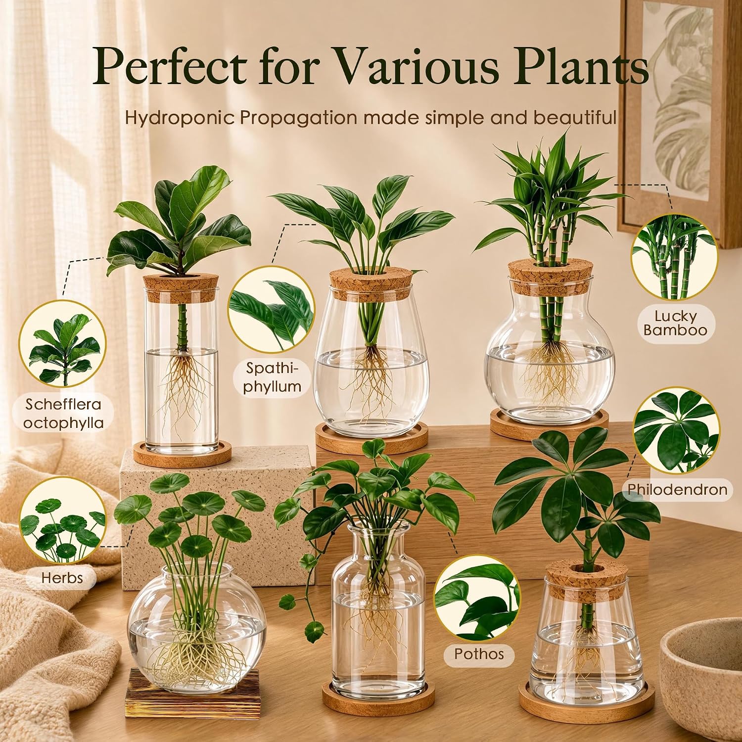 6 Pcs Plant Propagation Station Set, Glass Propagation Vases for Plants with Wooden Lids & Bamboo Stands, Hydroponic