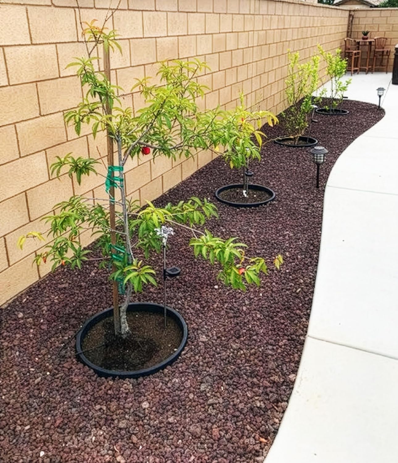 3-Pack 20-inch Rose & Shrub Planting Rings – Deep Watering Basin & Edging.