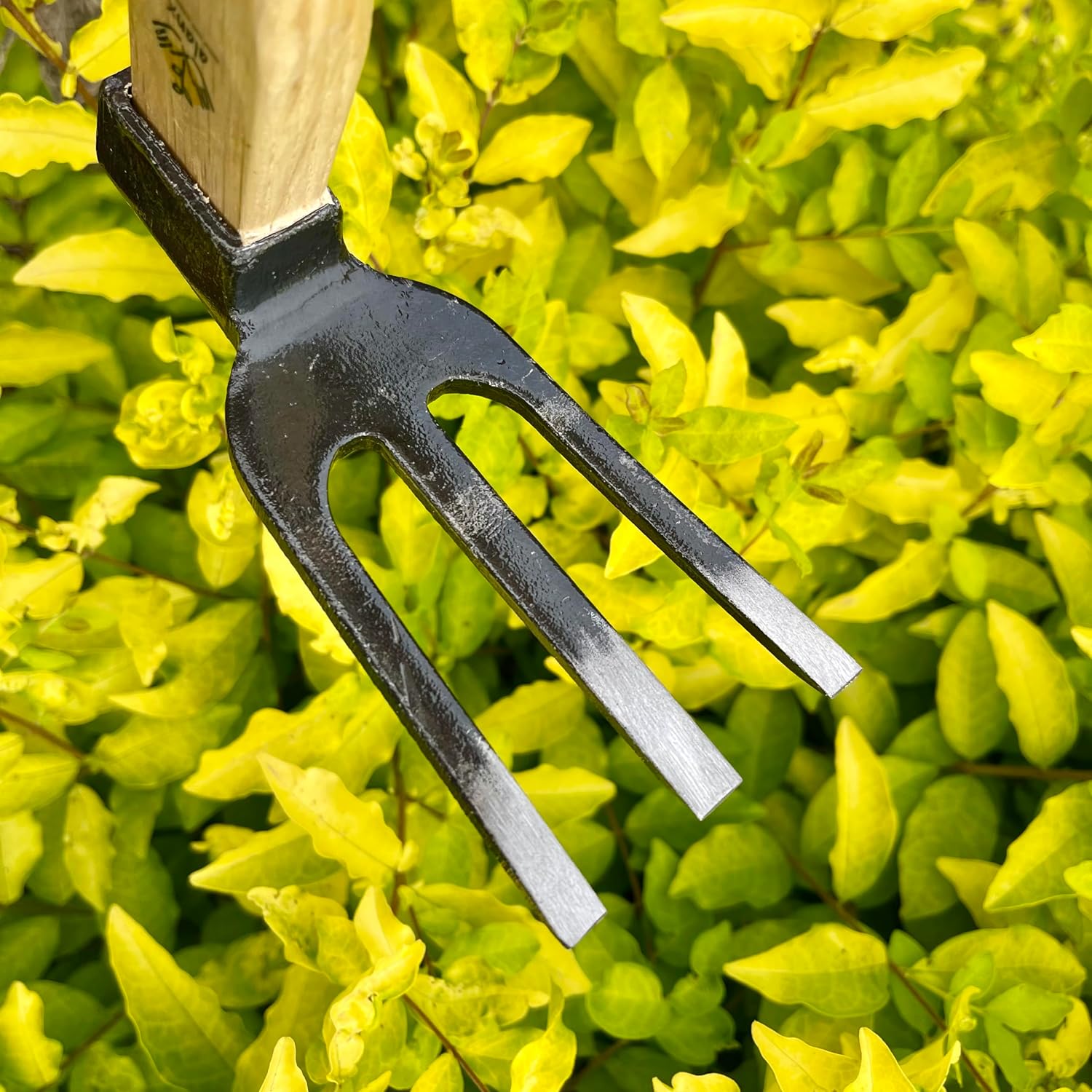 14 inch Japanese Hand Tiller/Rake for Garden, 3-tines Cultivator, Without Welding, Oak Handle, for Digging, Soil