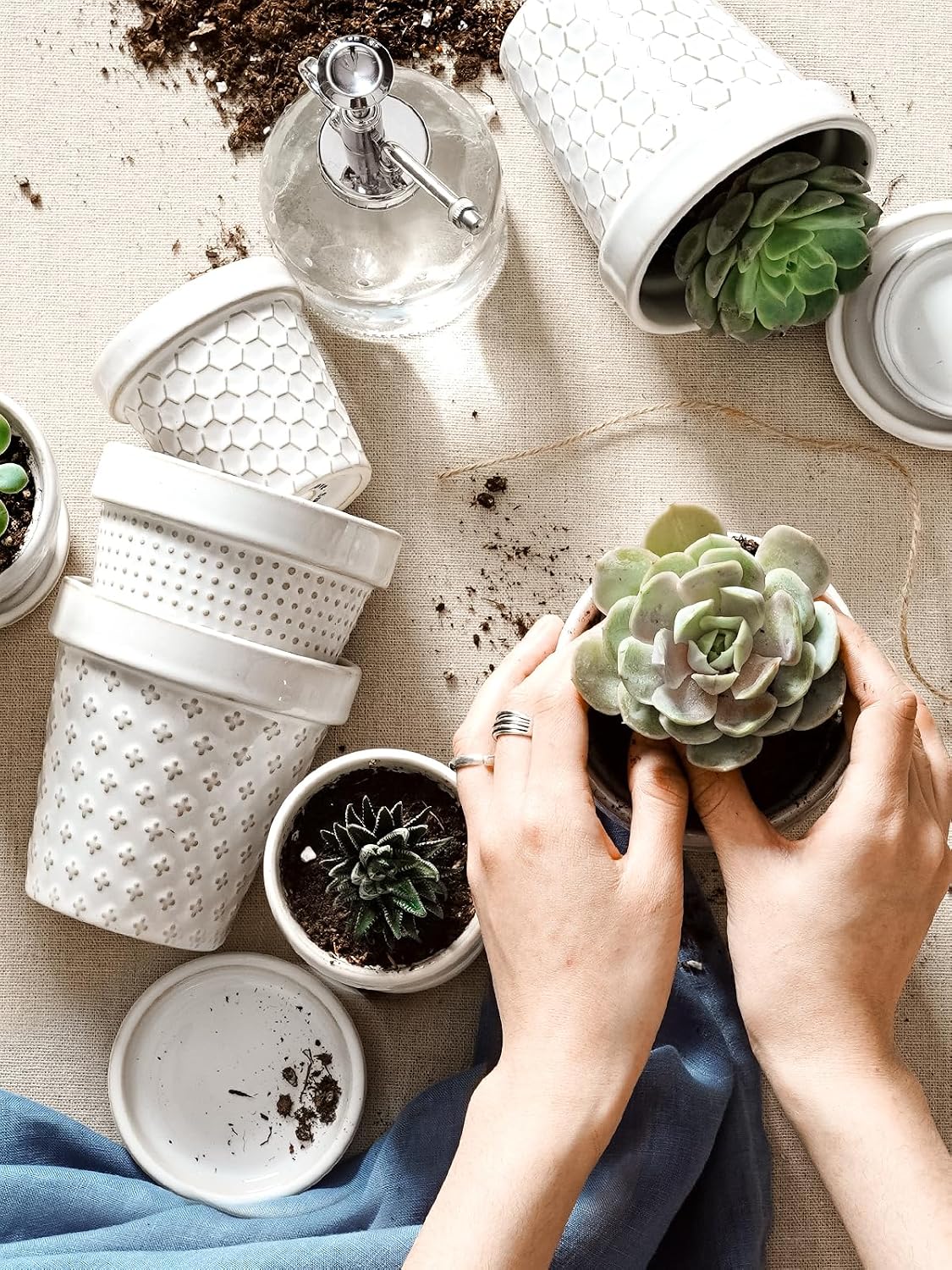 LE TAUCI Ceramic Succulent Pots, 4 Inch Small Plant Pot for Indoor Plant Cactus, Embossed Flower Pots with Drainage