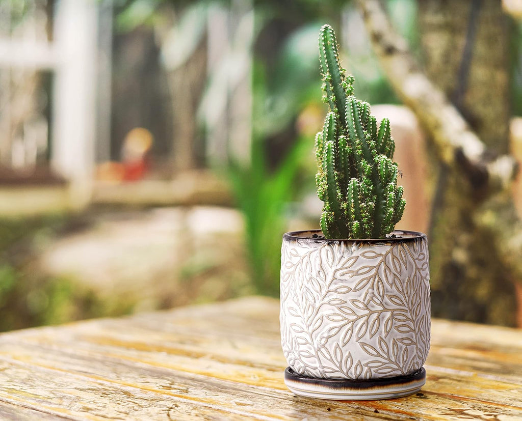 D'vine Dev 2-Pack Embossed Leaves Planter, 4/6 in, Smoked White, 27-B-U-1 | Nature-Inspired Leaf Pattern, Handcrafted
