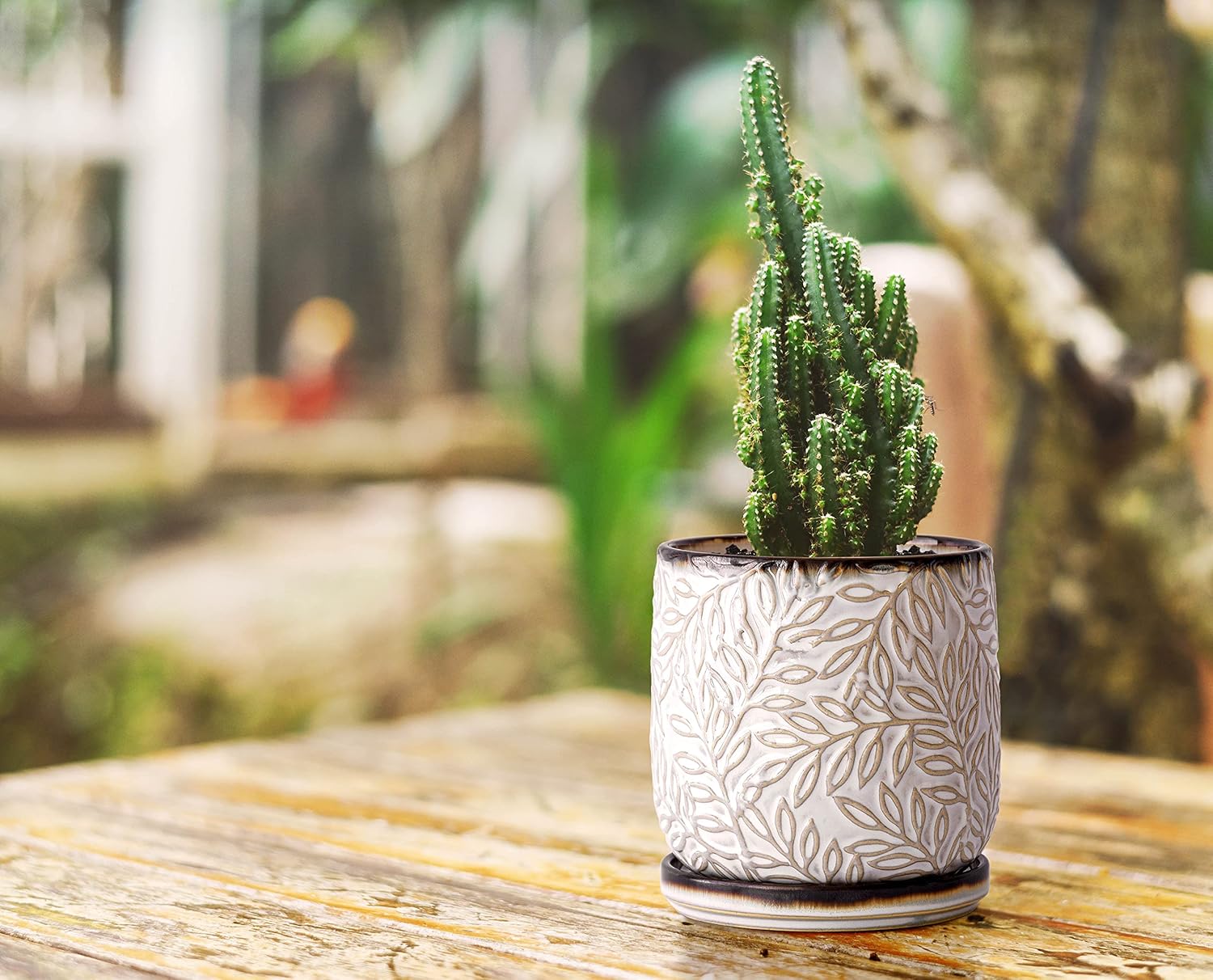 D'vine Dev 2-Pack Embossed Leaves Planter, 4/6 in, Smoked White, 27-B-U-1 | Nature-Inspired Leaf Pattern, Handcrafted