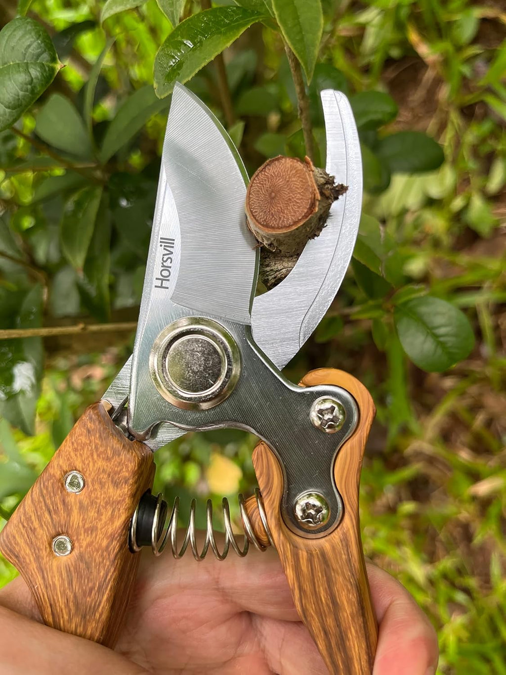 Branch Trimmer, Japanese Bonsai Trimming Scissors, Garden Clippers Handheld, Ergonomic Gardening Tools, Floral Shears