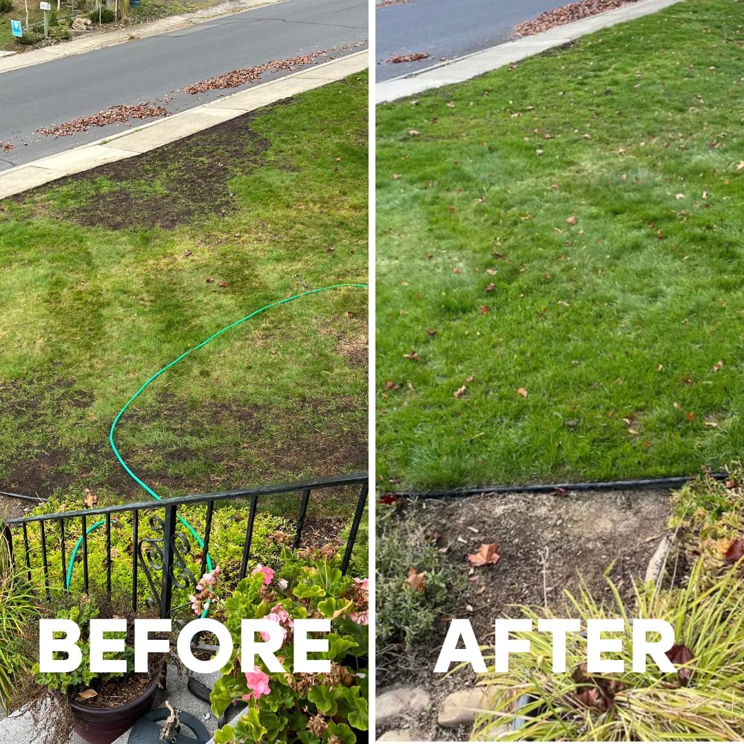 Total Lawn Liquid Lawn Fertilizer - Phosphorus-Free Hose-On Spray - 32 oz | Slow-release nitrogen & potassium with sea