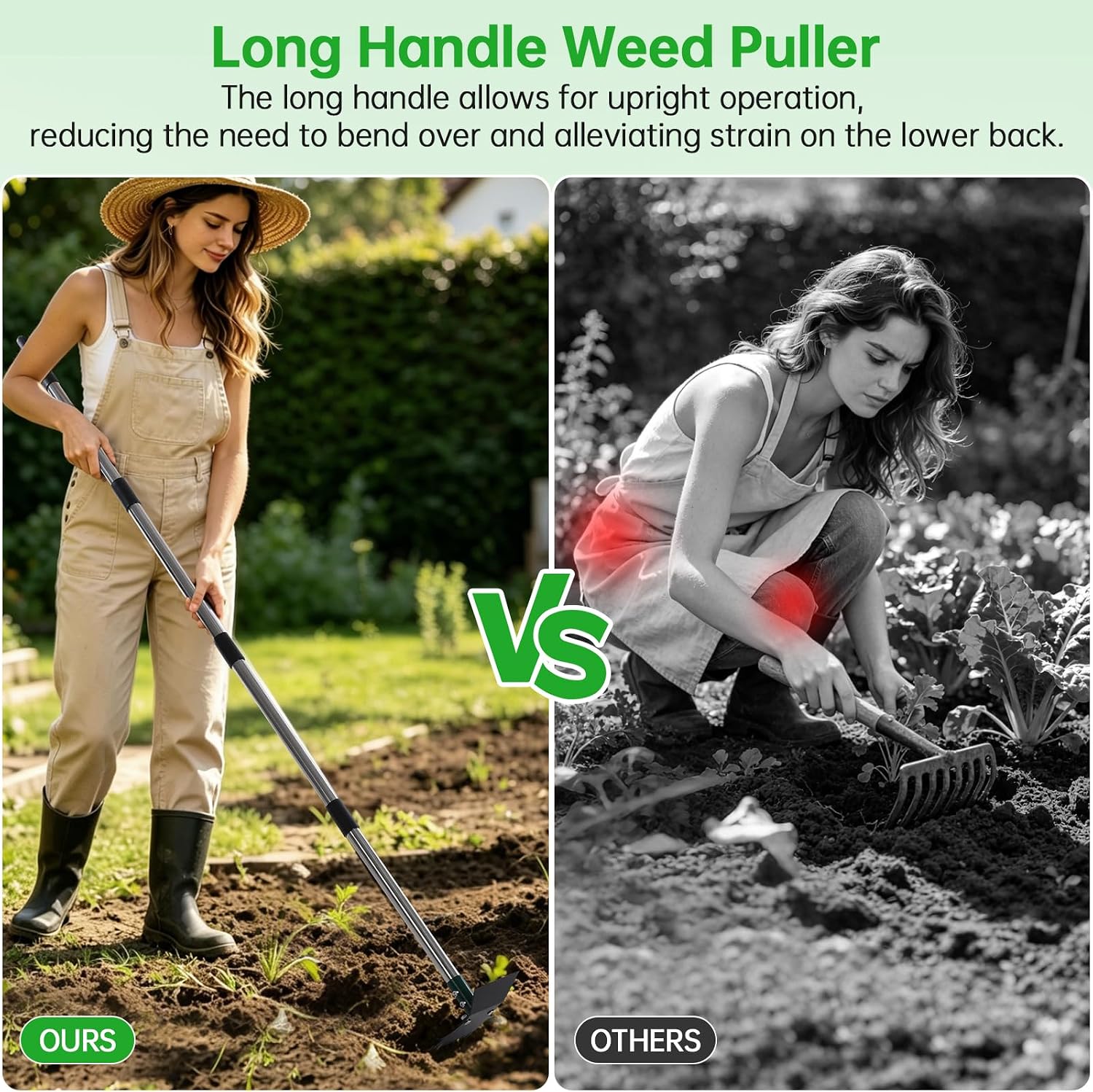 60 Inch Long Handle Dual Head Garden Hoe for Weeding & Soil Loosening | Multipurpose Weeding and Soil Cultivating Weed