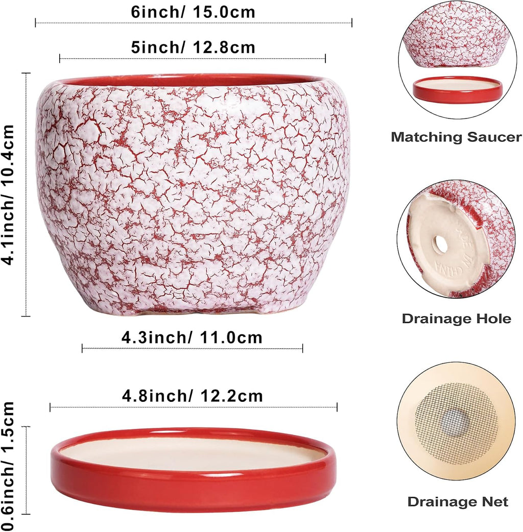 SQOWL 6 Inch Plant Pot - Ceramic Planter for Indoor Outdoor, Round Decorative Plant Pot with Drainage Hole and Saucer