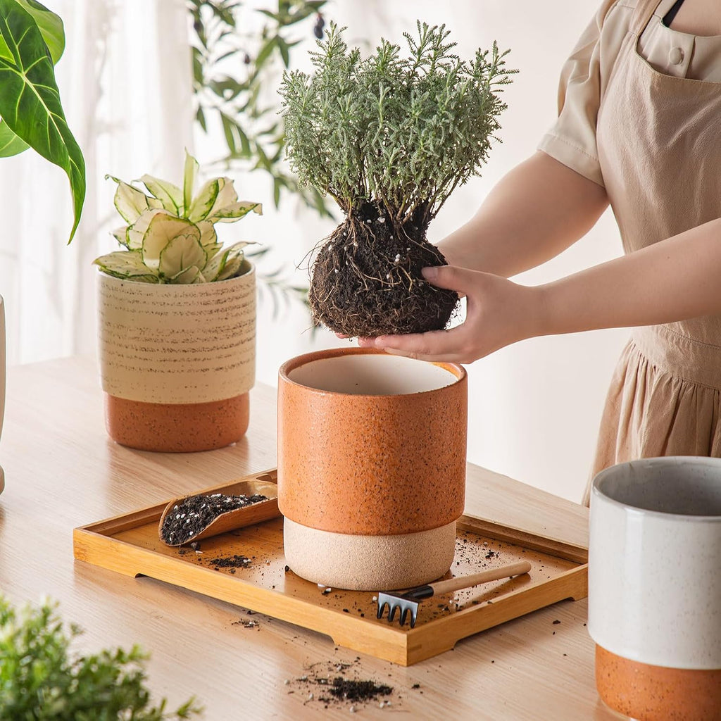 6 Inch Ceramic Self Watering Planter with Drainage Hole Terracotta | Indoor Plant Pot with Water Storage Plus - for