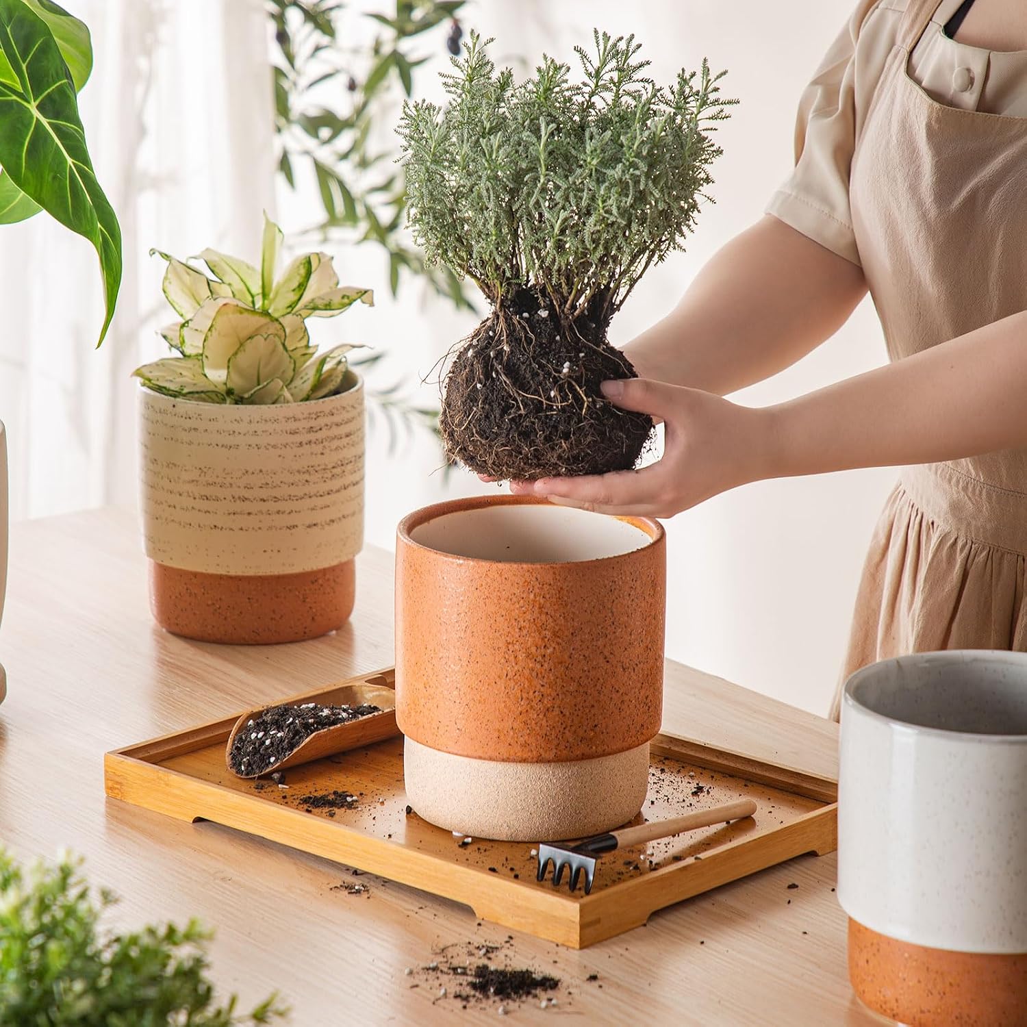 6 Inch Ceramic Self Watering Planter with Drainage Hole Terracotta | Indoor Plant Pot with Water Storage Plus - for