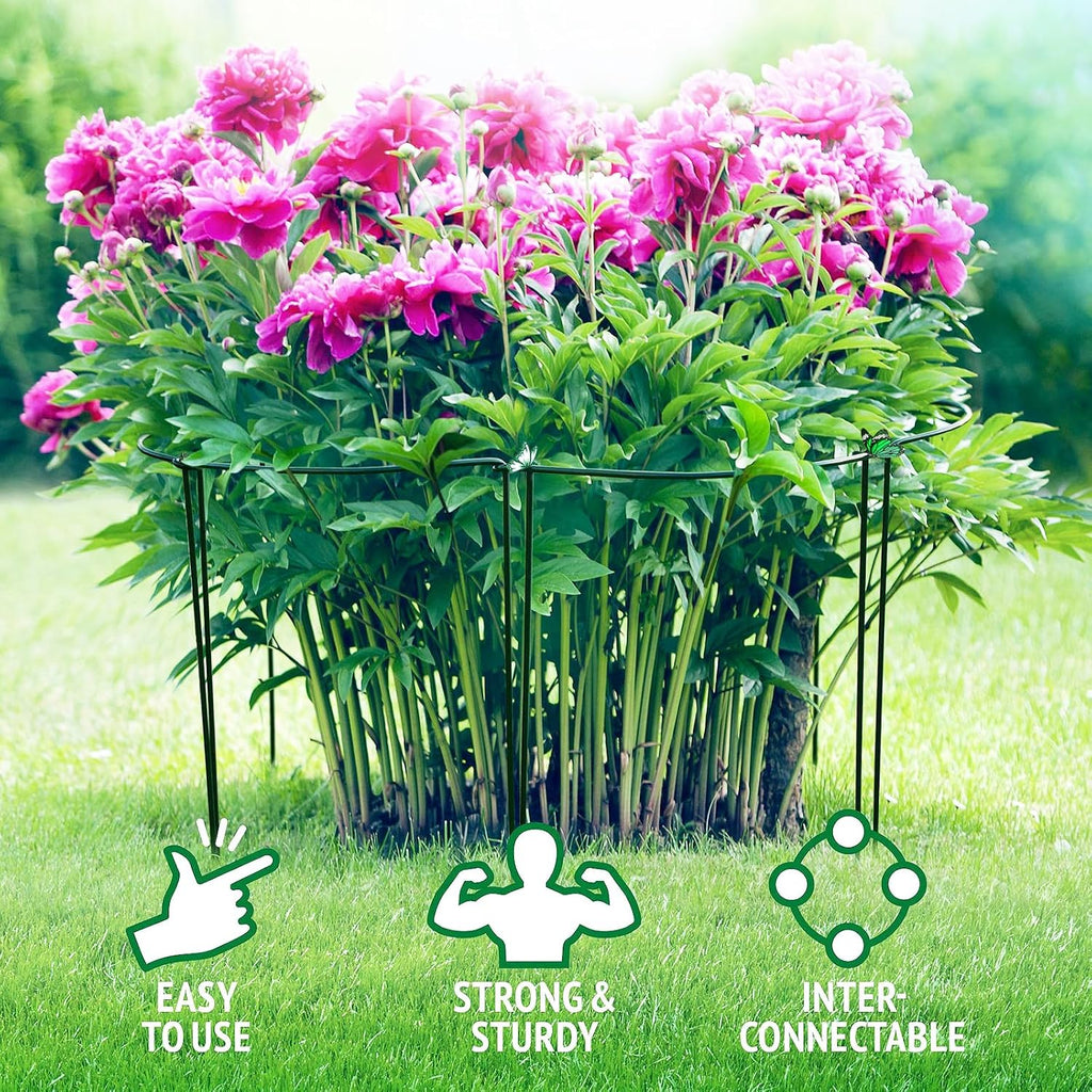 24 Inch Peony Cages and Supports for Large Hydrangea Bushes, Outdoor Plants, Heavy Duty Tall Plant Support Stakes, 12