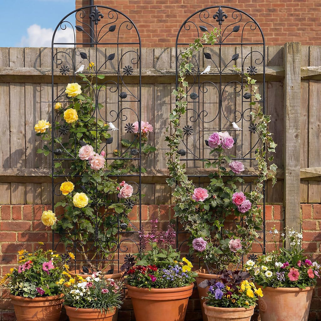 70.8" Metal Garden Trellis for Climbing Plants, 2 Pack Black | Rustproof steel lattice supports roses, clematis