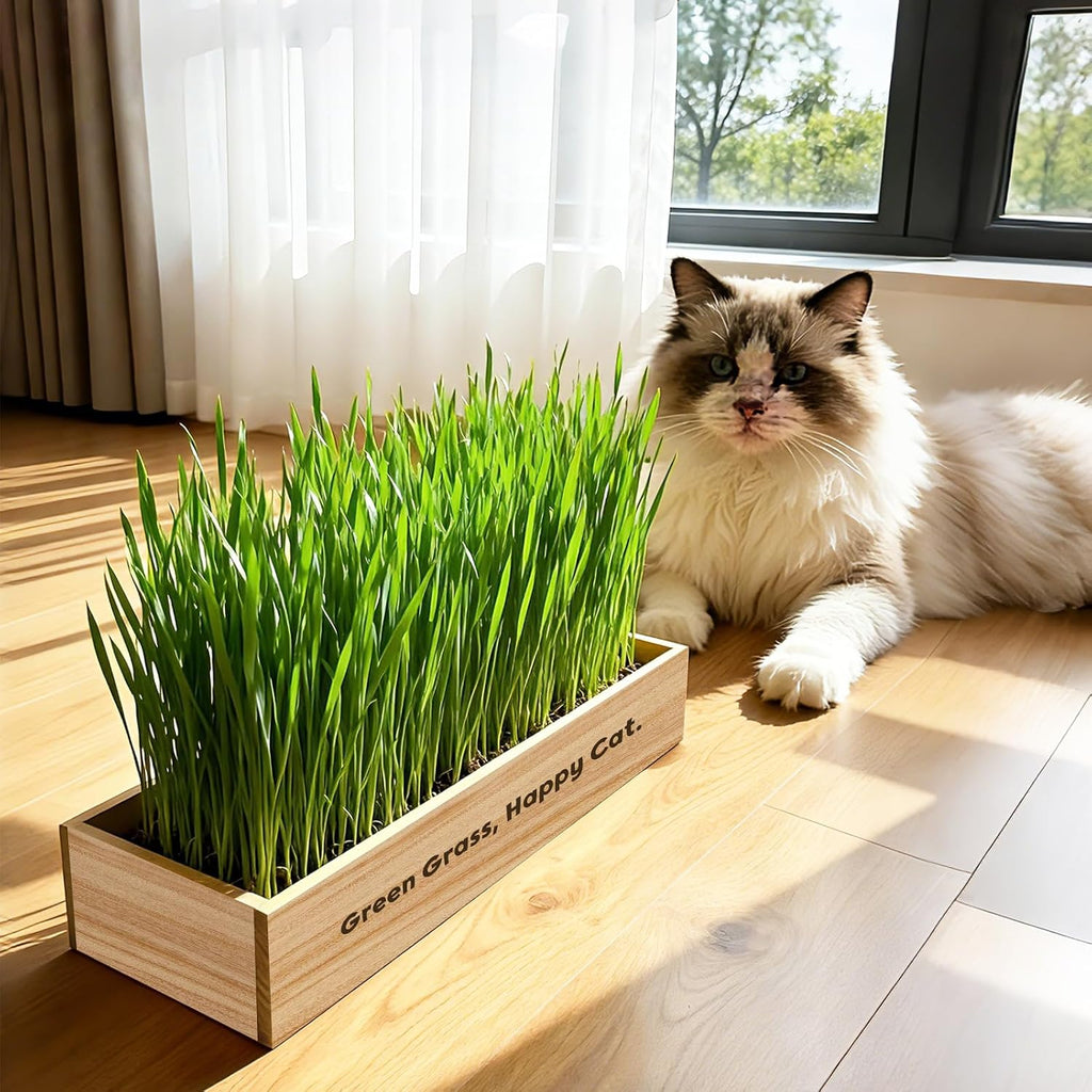 LUOJIBIE Cat Grass Kit for Indoor Cats, Cat Grass Seeds Set, Non-GMO Wheat Grass, Mothers Day Gifts for Mom, Unique