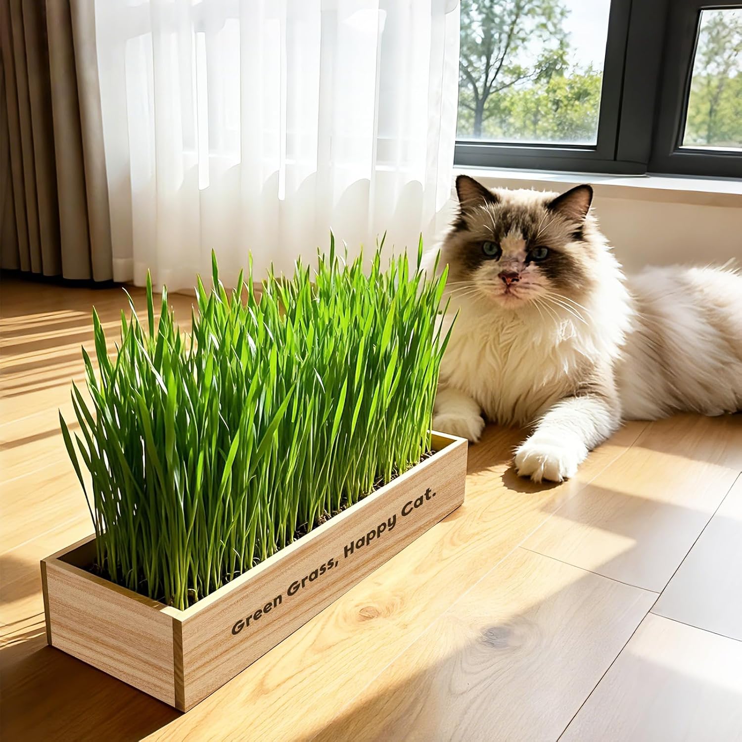 LUOJIBIE Cat Grass Kit for Indoor Cats, Cat Grass Seeds Set, Non-GMO Wheat Grass, Mothers Day Gifts for Mom, Unique