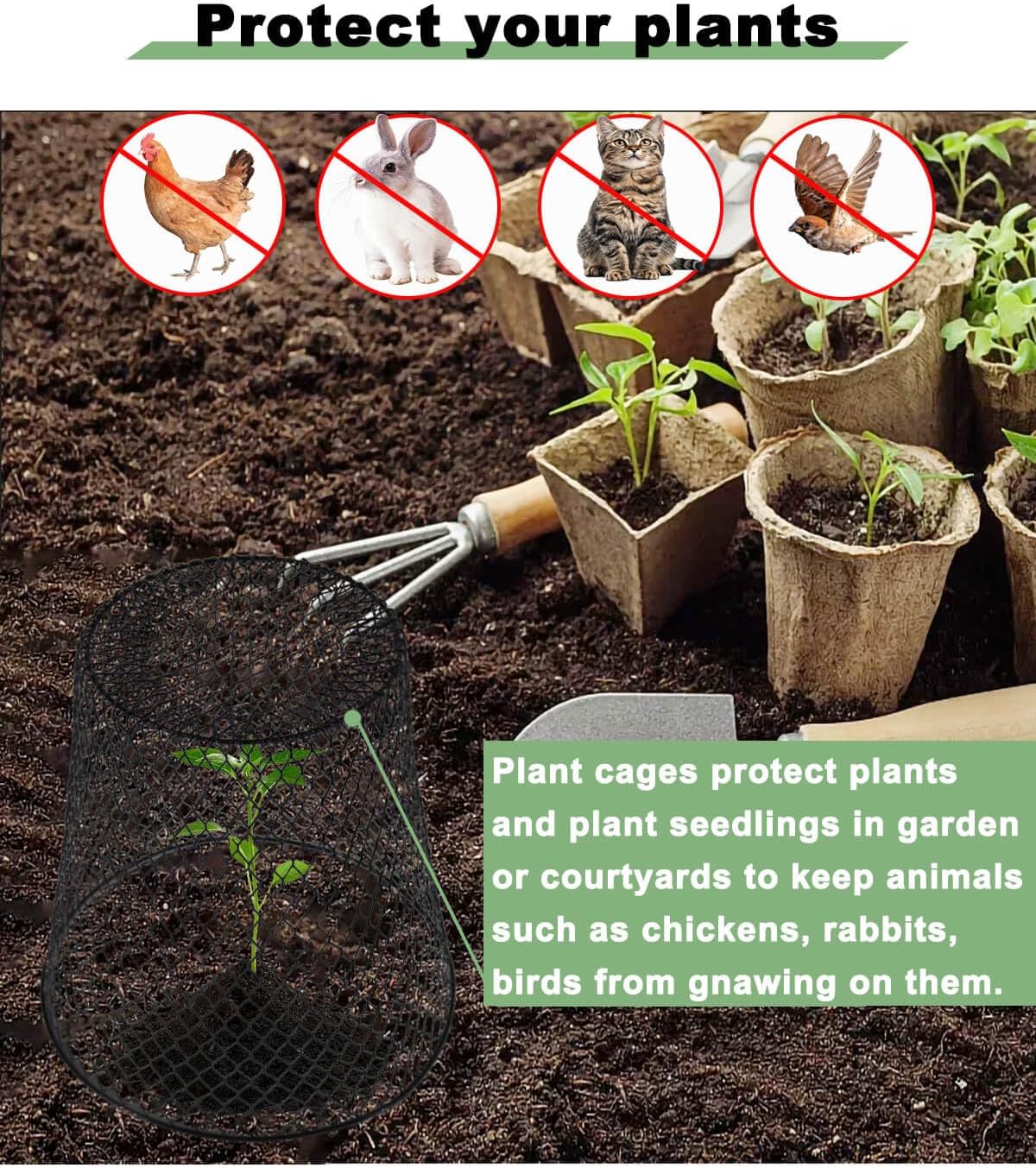 12 Pcs Chicken Wire Cloche Plant Covers, 9 Inch Metal Plant Protectors | Heavy-duty garden netting helps protect plants