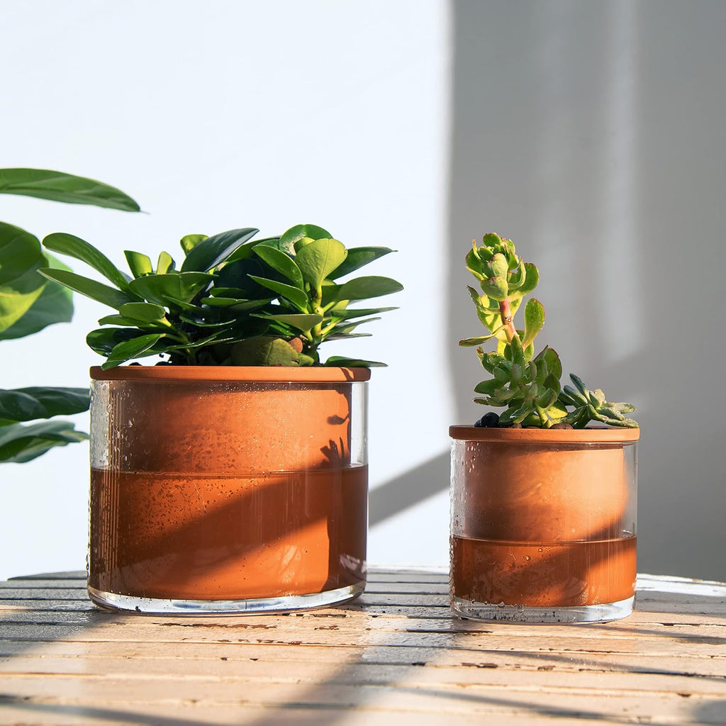 Phoenix Vine 4 Inch Self Watering Plants Pot, Design Terracotta Pot for Plants, Indoor Cylinder Terra Cotta Planter