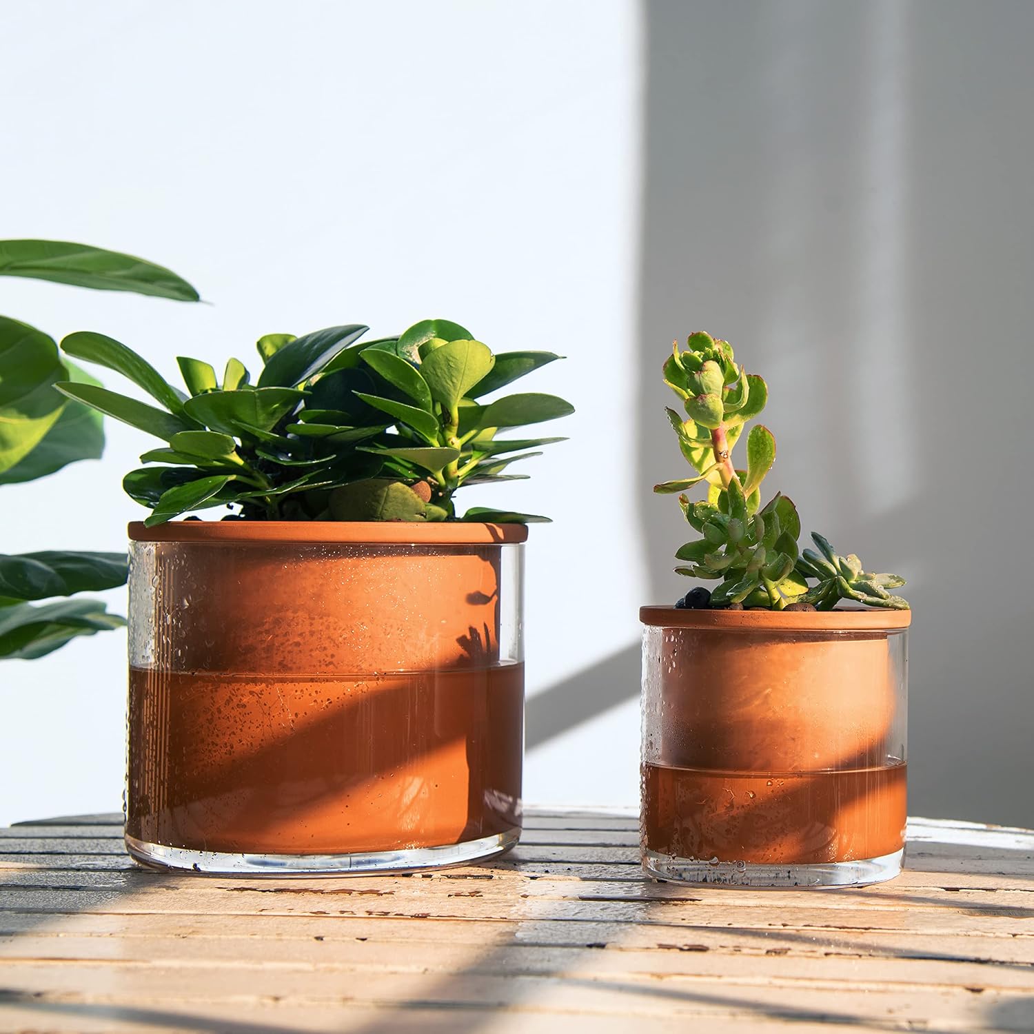 Phoenix Vine 4 Inch Self Watering Plants Pot, Design Terracotta Pot for Plants, Indoor Cylinder Terra Cotta Planter
