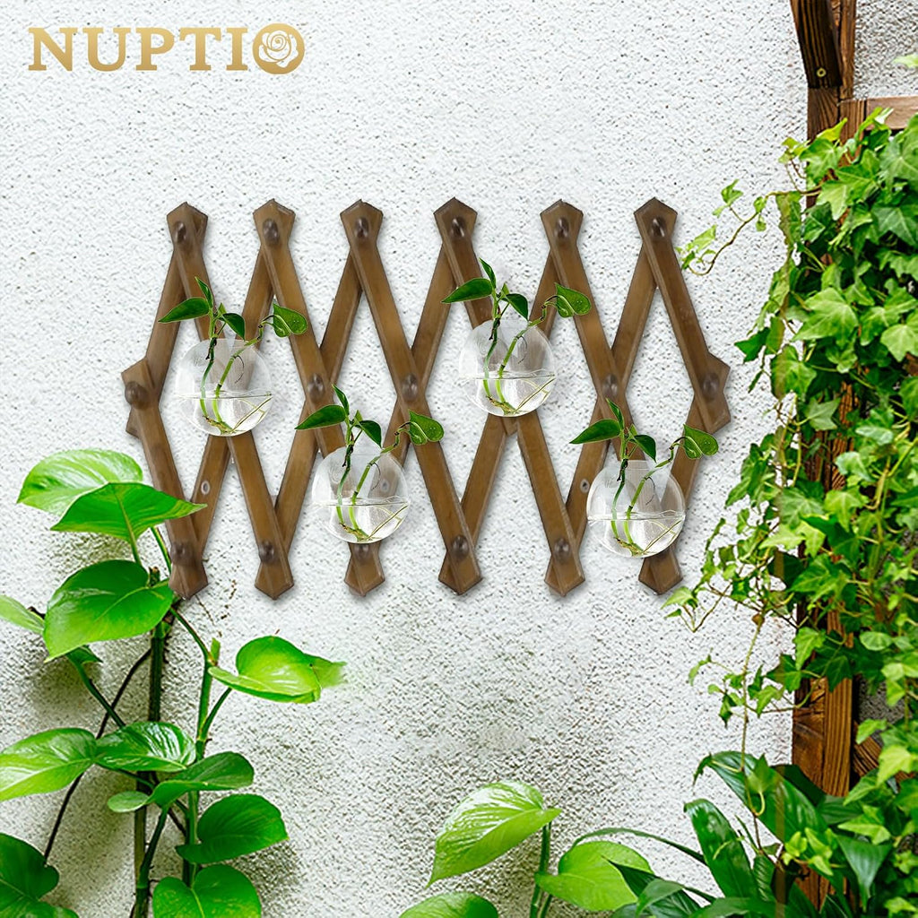 NUPTIO Glass Wall Hanging Planters: Propagation Station for Plants, 4 Pcs | Wall Mount Clear Vase, Terrarium for