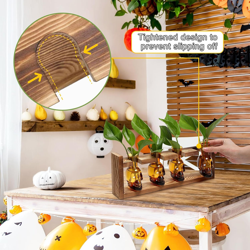 Plant Propagation Stations Halloween Skull Plant Terrarium Kit | Glass Vases Gift for Father Air Planter Home Office
