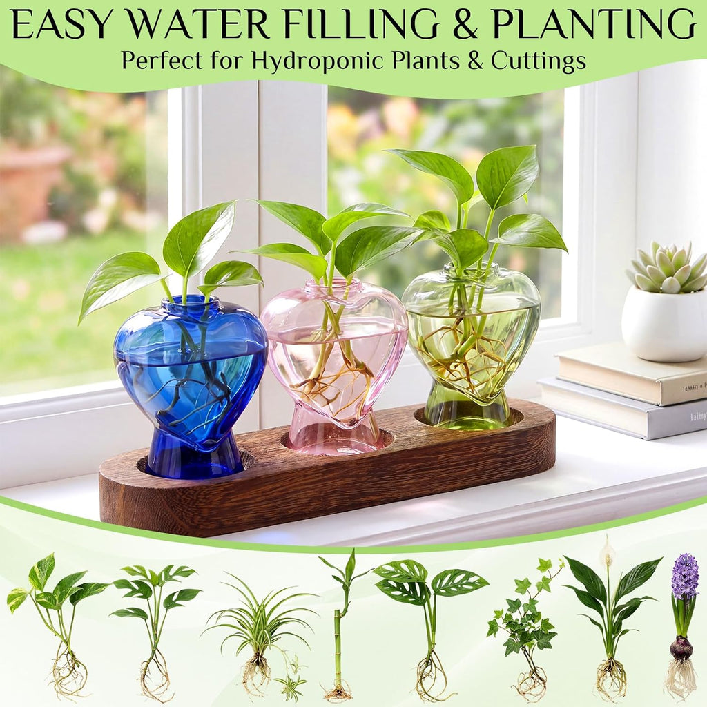 Zhehao 3 Pcs Plant Propagation Stations with Wooden Stand Heart Shaped Propagation Vases for Indoor Plants Home Office