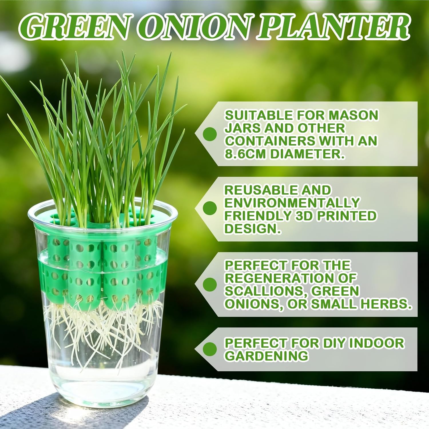 4 Pack Green Onion Planter Scallion Grower Seed Sprouting Kit Compatible with Regular Mouth Mason Jar for Windowsill