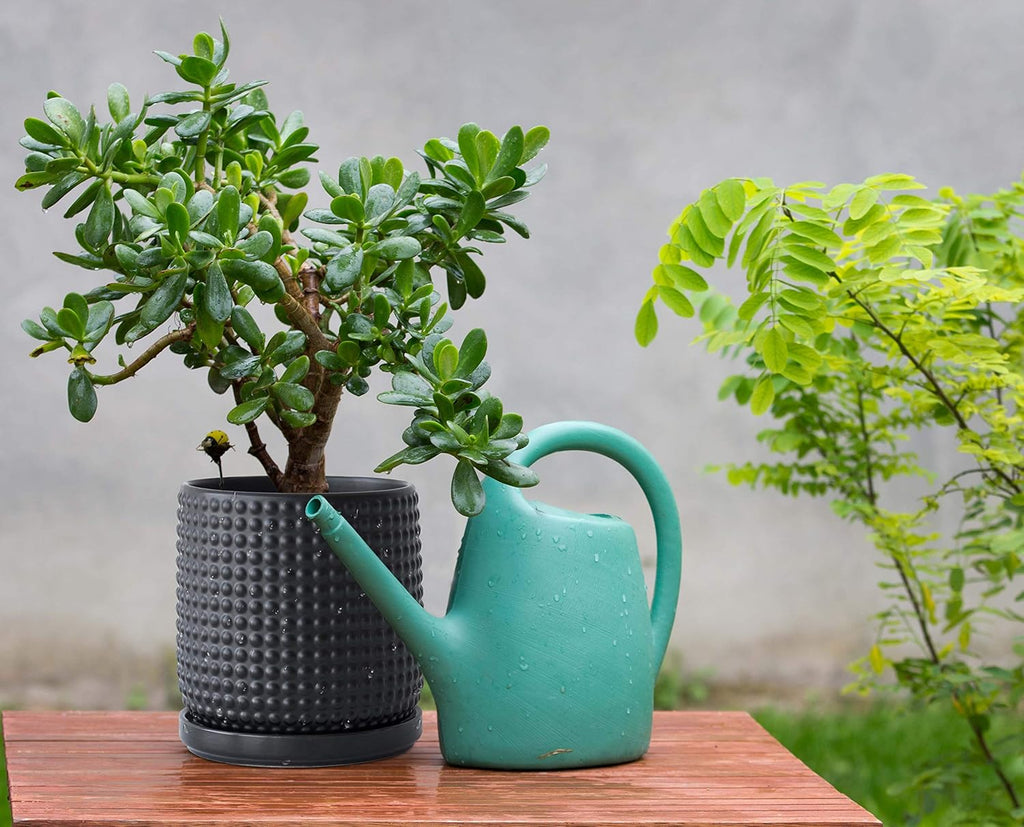 D'vine Dev Beaded Ceramic Pot with Saucer, 6 in, Ebony Matte, 27-C-X-6 | Embossed Dot Texture, Smooth Glazed Finish