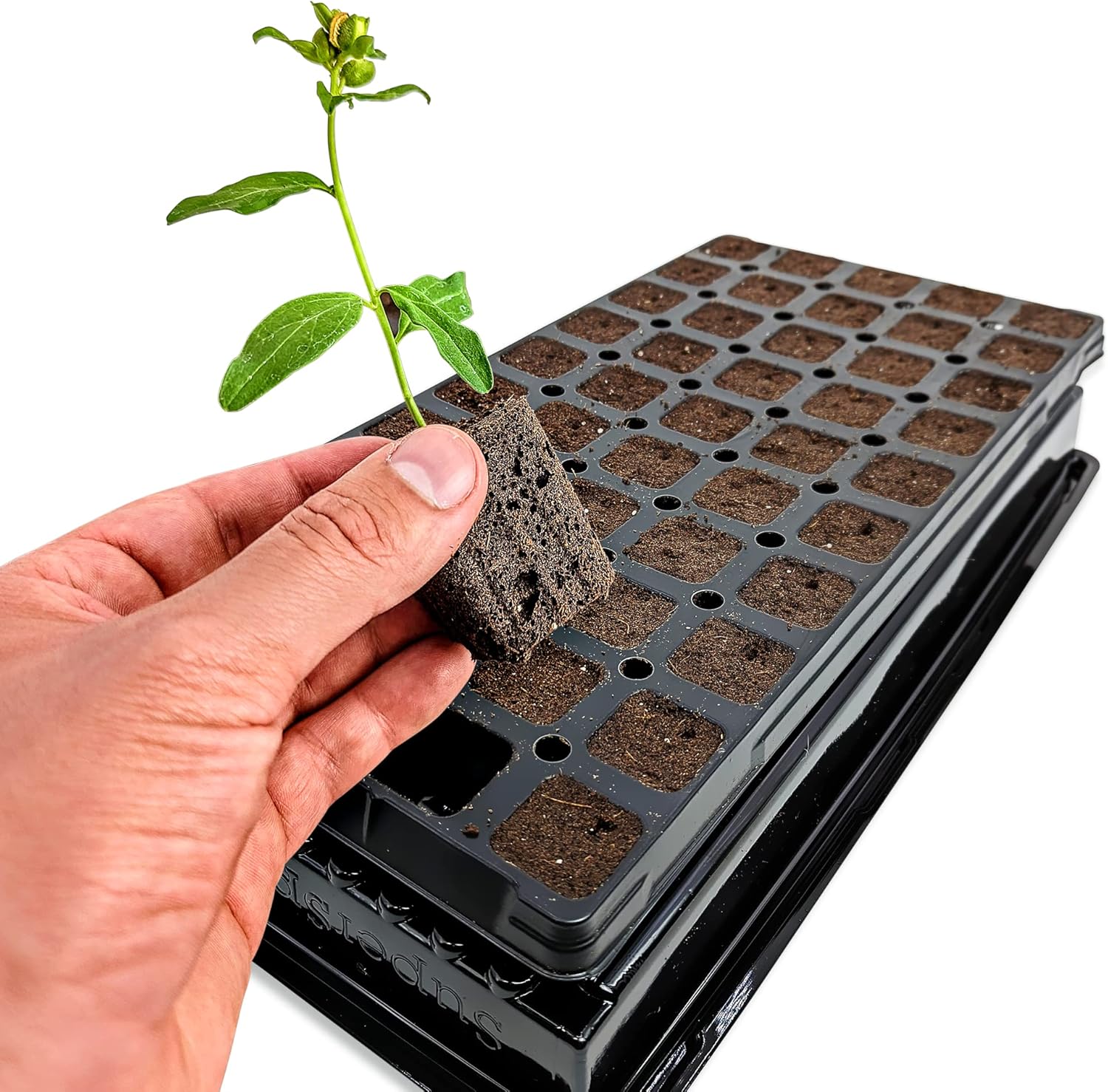 VPS OrganiPlug Hydroponic Seed Starter Plugs, 50 pcs in 1 Prefilled Tray, Rapid Root Planting Pods for Seedling, Clone