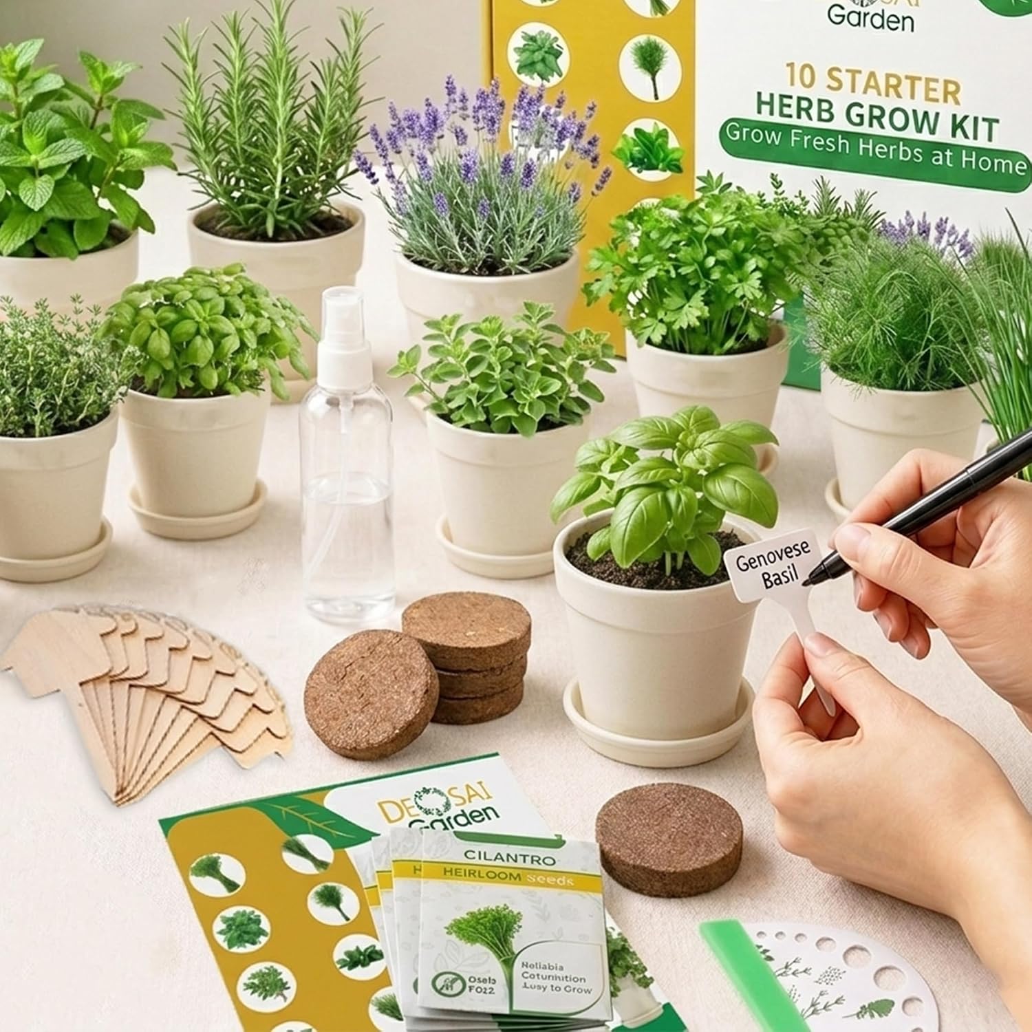 47 PCS Herb Garden Seeds Starter Kit, 10 Non-GMO Culinary Herb Seeds with Beige Pots & Planters for Windowsill, Herb