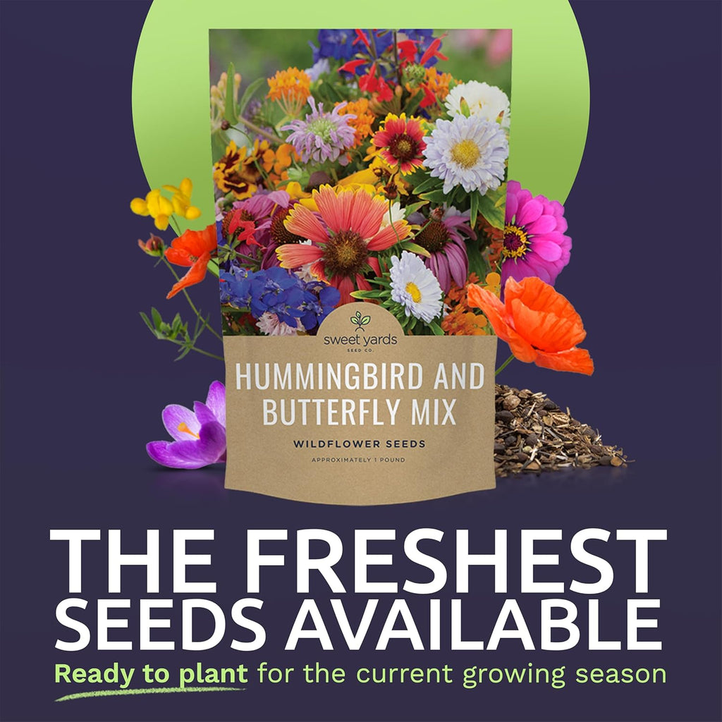 Bulk Wildflower Seeds Butterfly and Hummingbird Mix - 1 Pound Bag - Over 120,000 Open Pollinated Annual and Perennial