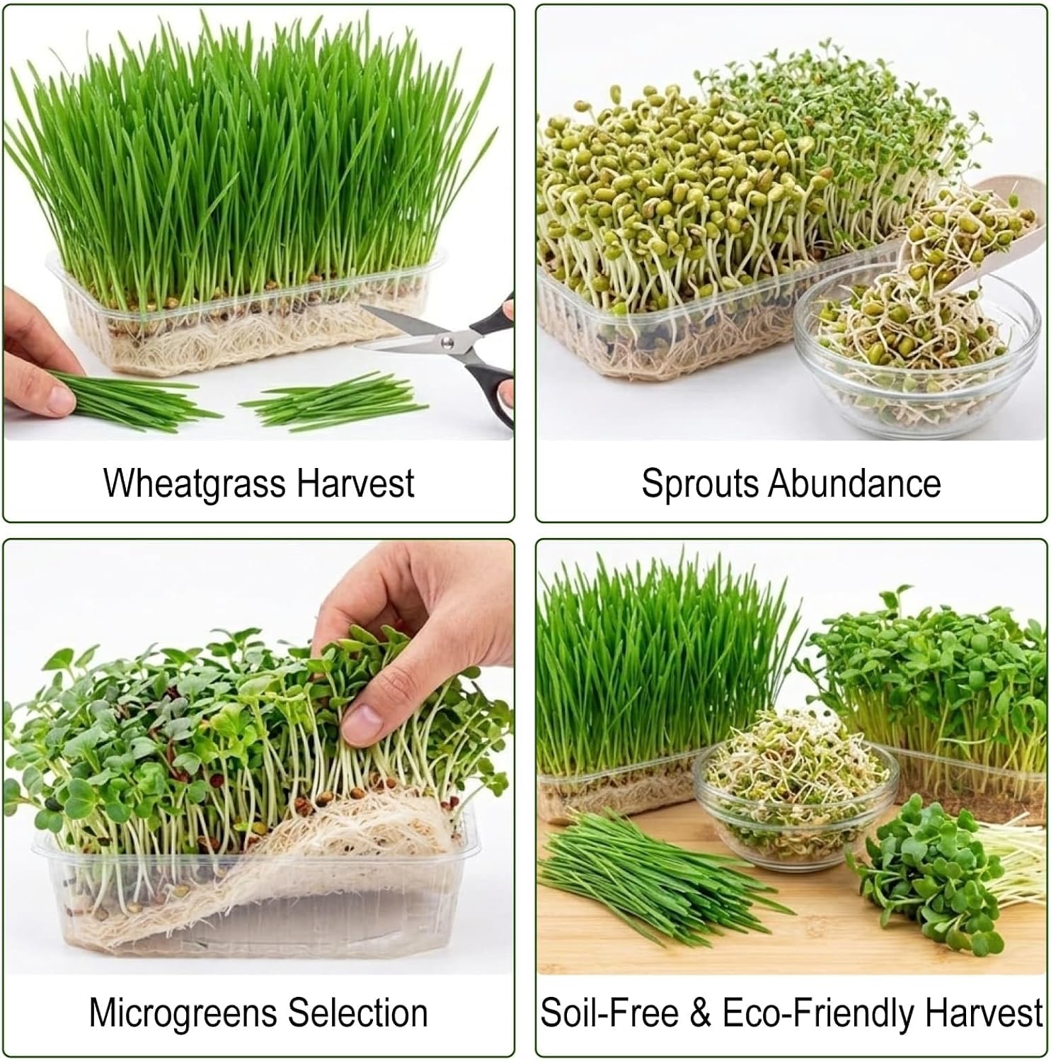 10IN x 20FT Hemp & Jute Microgreen Growing Mat Roll with Spray Bottle | Plant-Fiber Hydroponic Seed Sprouting Pad for