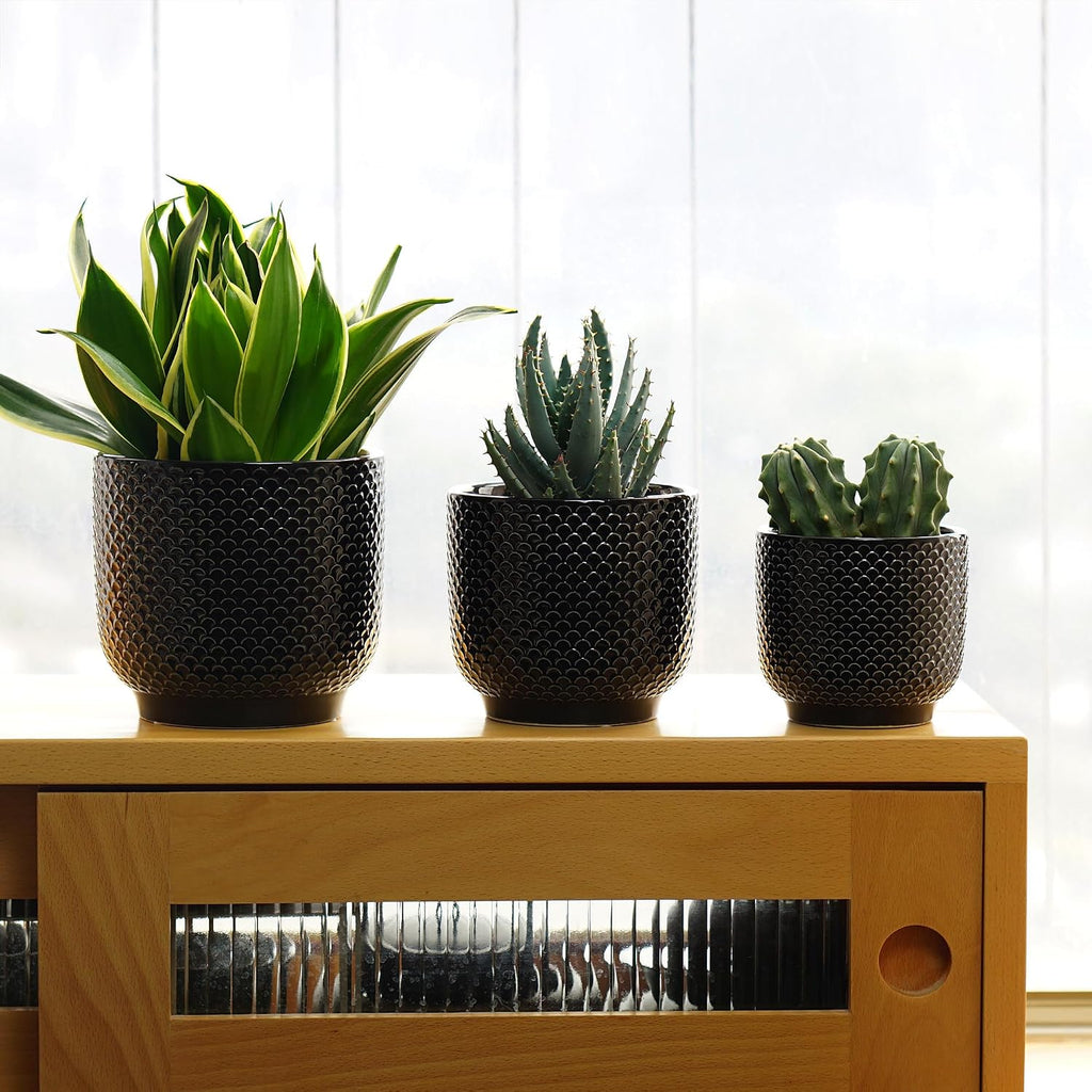 4 + 5 + 6 Inch Ceramic Pots for Indoor Plants, Succulents Plant Pots, Orchid Flower Pot with Drainage Hole, Modern Clay