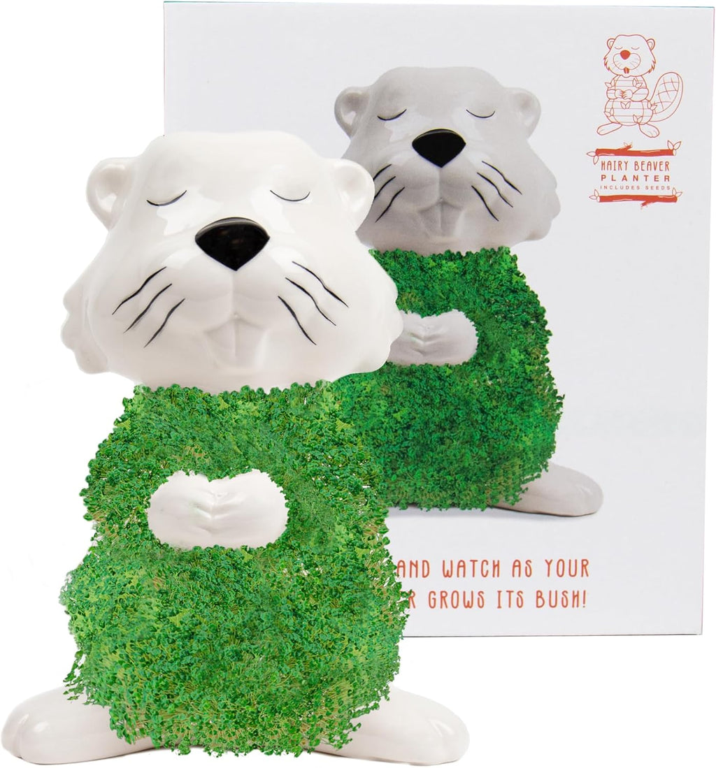 Gift Republic Hairy Beaver Chia Planter Desktop Chia Animal Funny Grow Kit Gift Idea