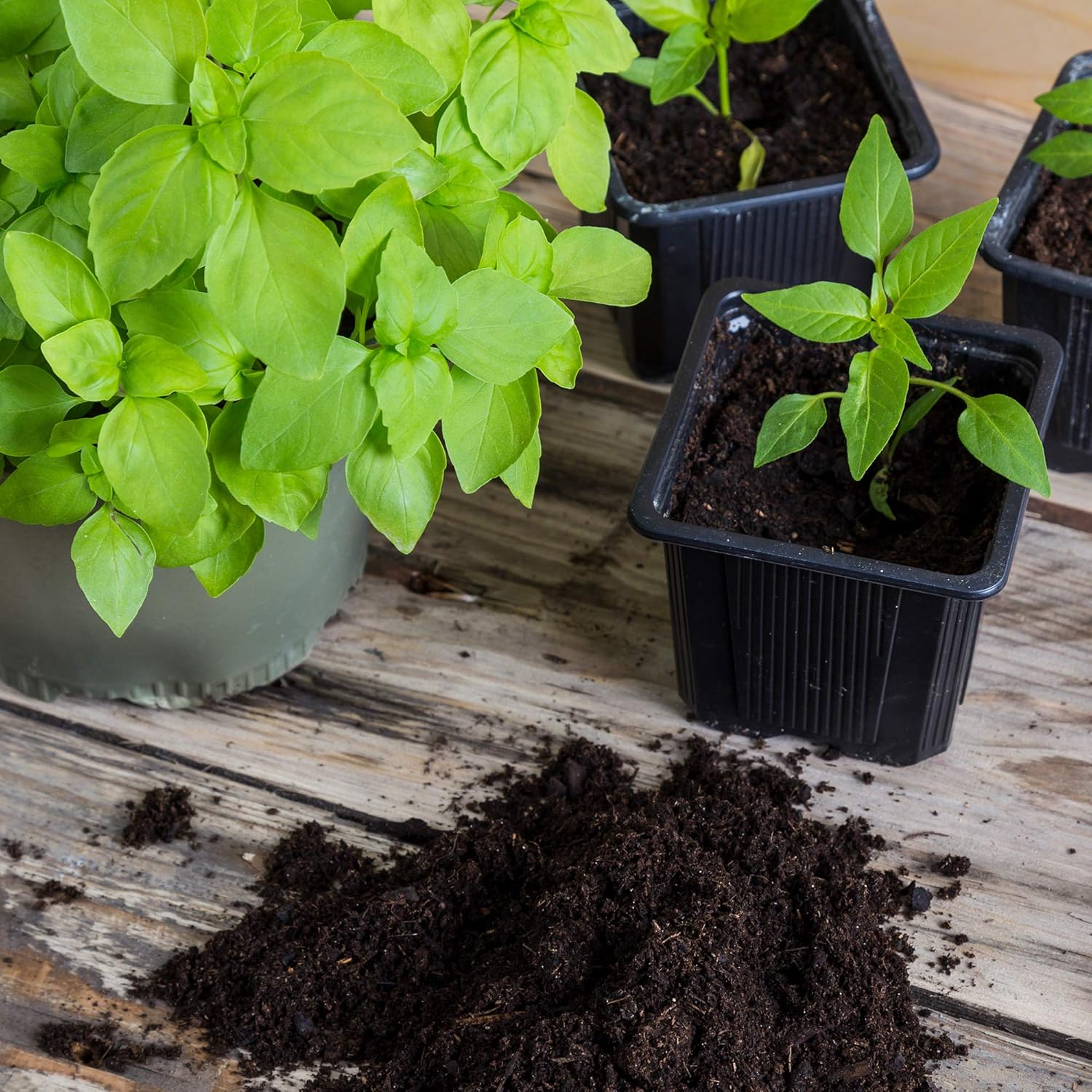 Minute Soil - Compressed Coco Coir Fiber Grow Medium - 3 Bricks = 4.5 Gallons of Potting Soil - Seed Starting
