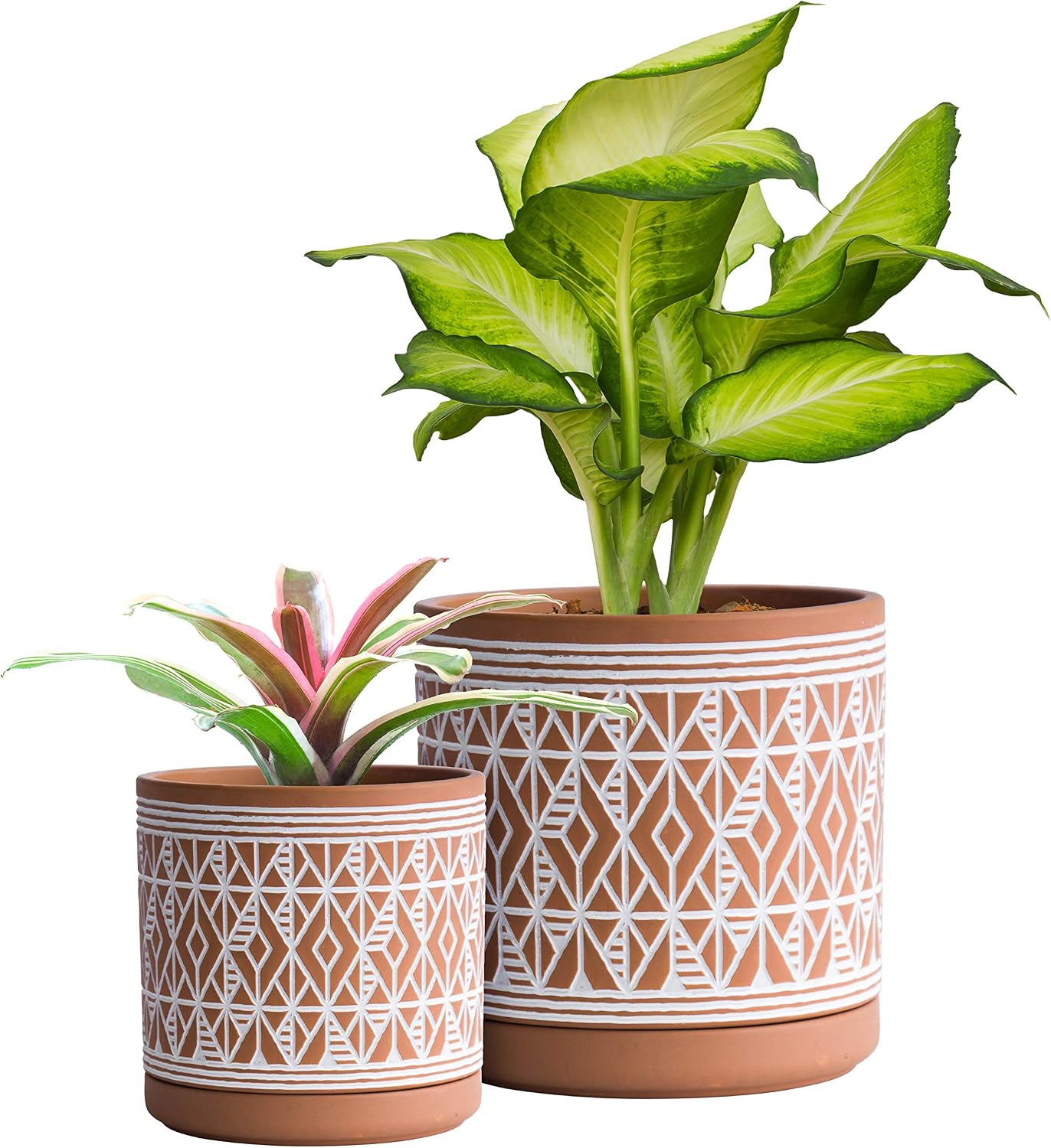 D'vine Dev 2-Pack Terracotta Pots, 4/6 in, Terra/White, 31-958-G-1 | Hand-Painted Pattern, Natural Clay Texture