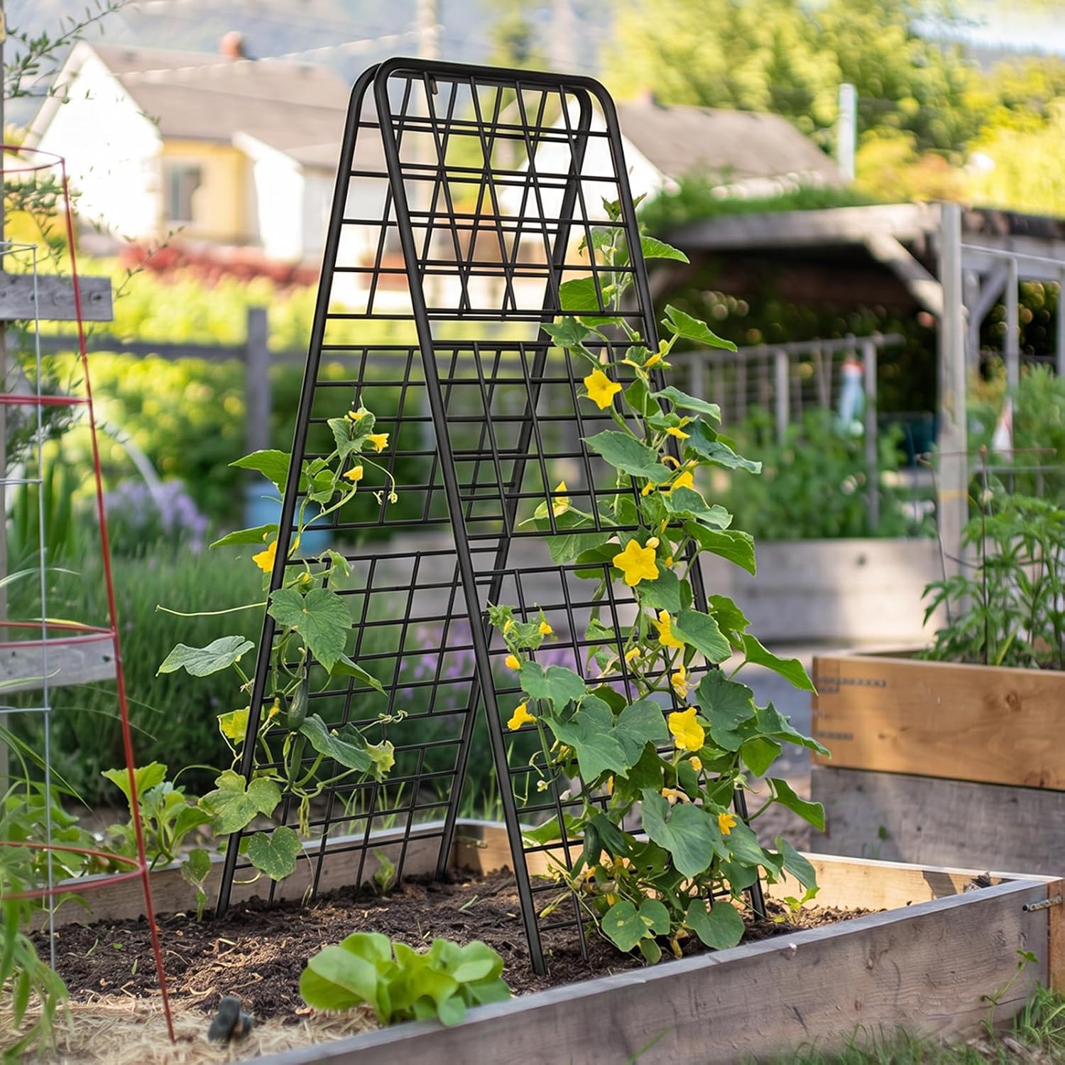 A-Frame Trellis for Climbing Plants Outdoor, 2 Pack Metal Garden Trellis | Heavy Duty Cucumber Climbing Trellis with