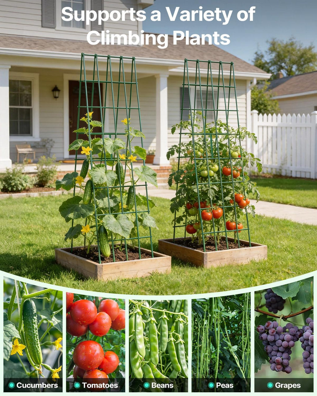 Suteck A-Frame Cucumber Trellis 59.4" 2 Pack, Foldable Metal | Garden Trellis for Cucumbers, Peas, Beans & Climbing