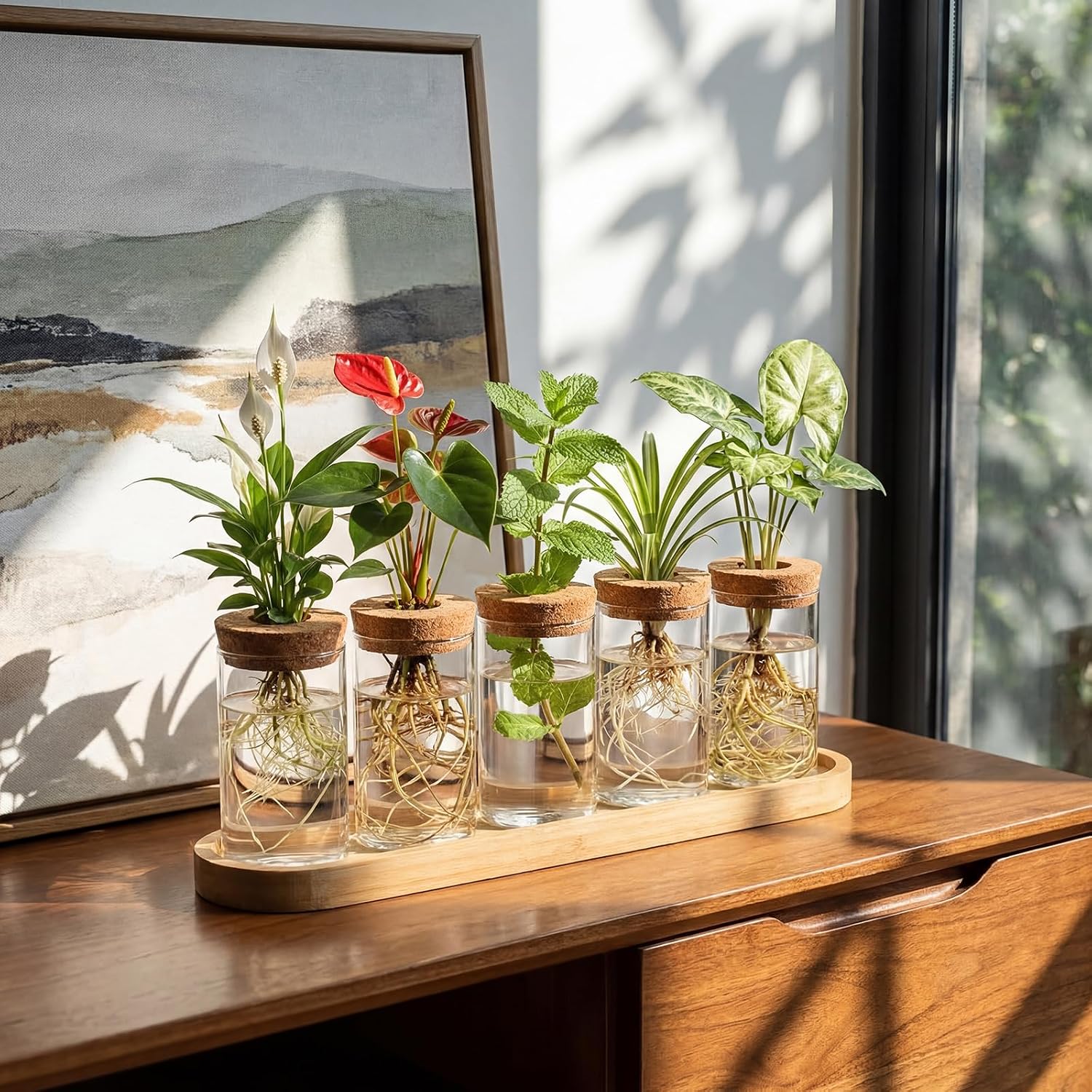 Zhehao 5 Pack Plant Propagation Station Hydroponic Glass Jar Terrarium with Cork Lids Bamboo Tray Desktop Planter for