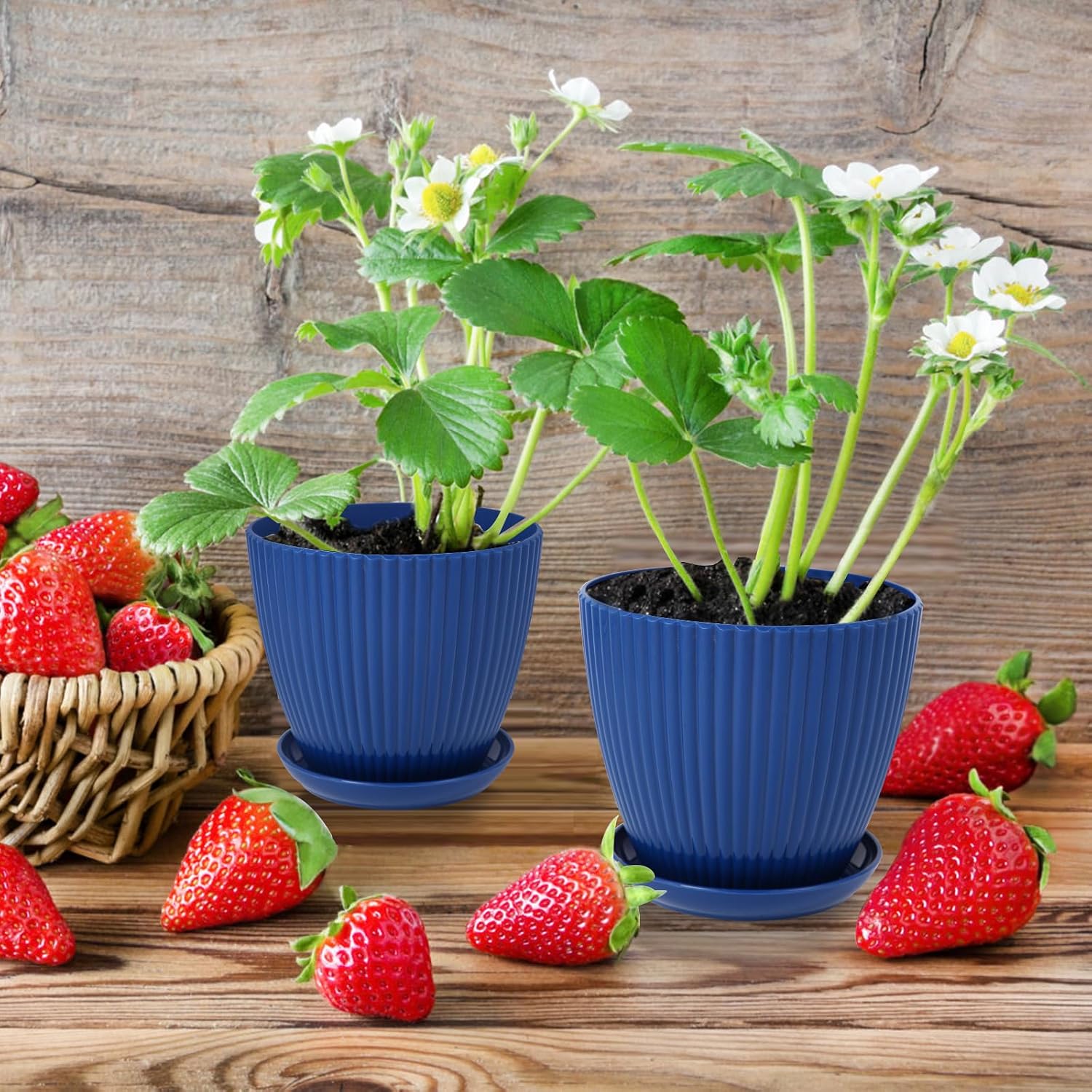 7 Inch Large Plant Pots, 6 Pack Flower Pots with Drainage Hole and Tray Saucer Plastic Plant Pot for Outdoor Indoor