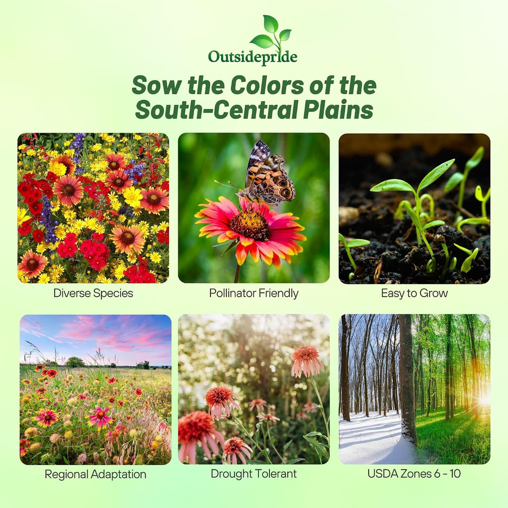 Outsidepride Texas & Oklahoma Wildflower Seed Mix - 1 lb. Drought-Tolerant, Blend of Annual & Perennial Flower Seeds