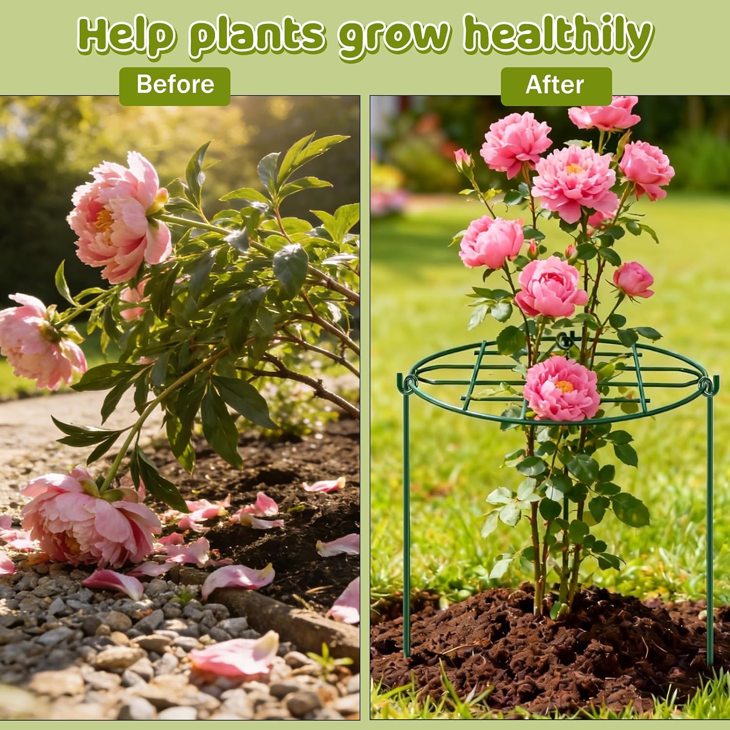 TTQ 8 Pack 12 x 15.7 inch Peony Cages and Supports,Metal Grow Through Plant Supports for Outdoor Plants,Flowers Support