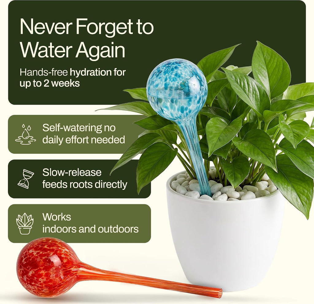 Besti Large Self Watering Globes for Plants Hands Free | Durable, Multicolored Glass Craftsmanship | Holds 380-400ml