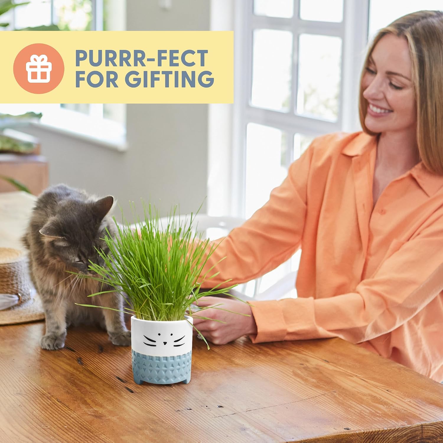 The Cat Ladies Cat Grass for Indoor Cats, Cat Grass Growing Kit with Organic Cat Grass Seed Mix, Soil and Ceramic Cat