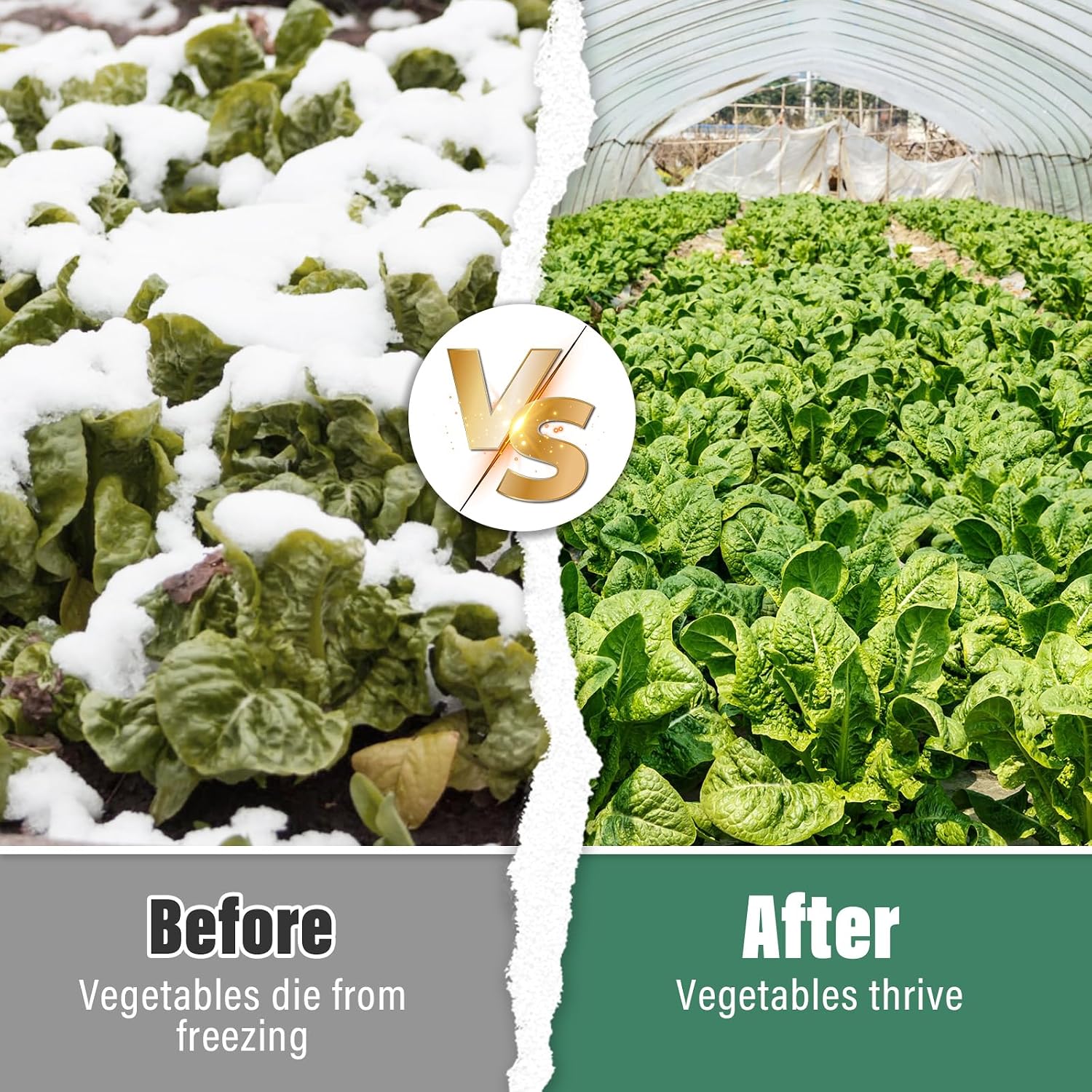 8 X 26 Ft Clear Plastic Plant Covers Freeze Protection- 6 Mil Winter Greenhouse Plastic Sheeting for Frost Water Sun