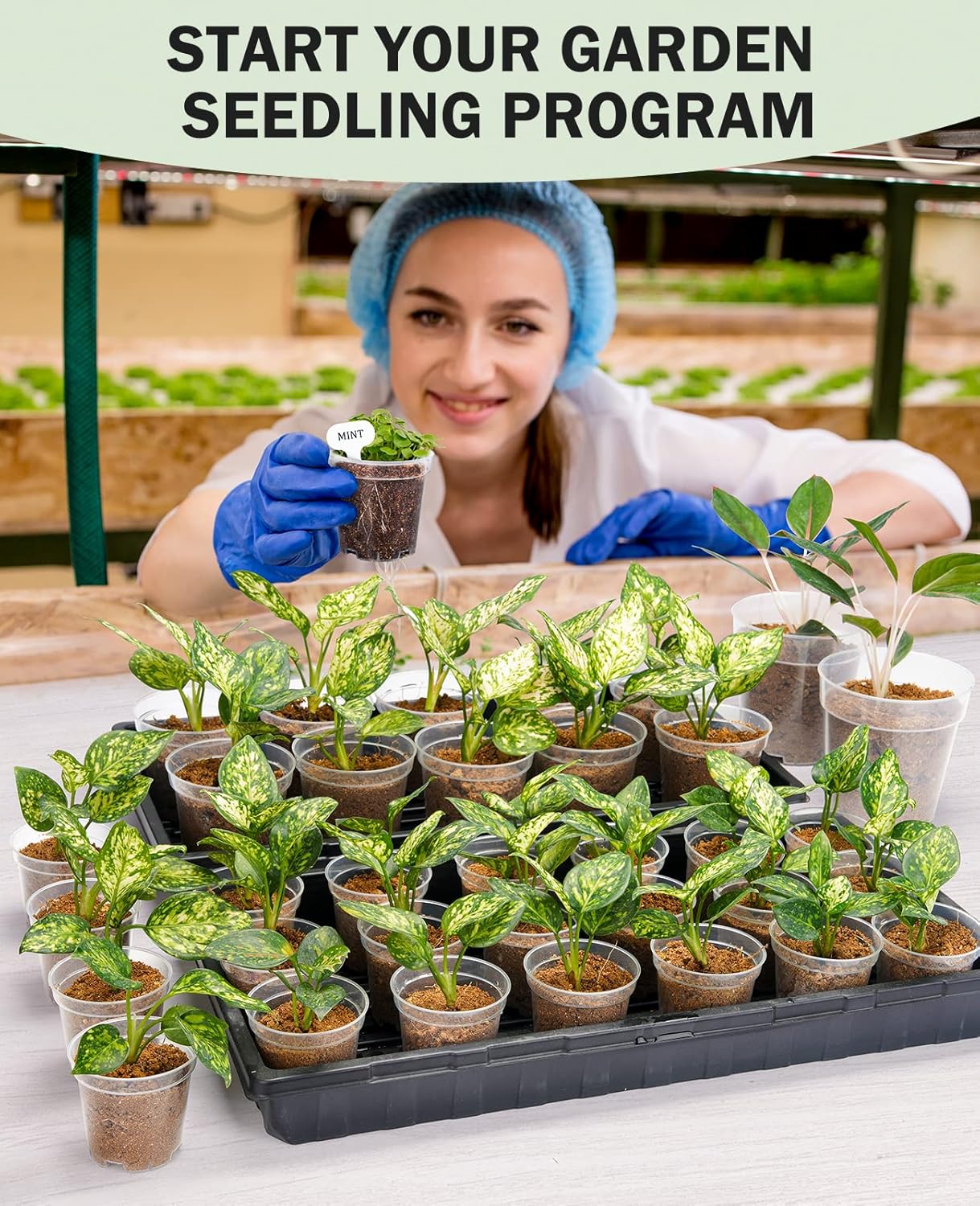 4 Inch Clear Nursery Pots for Plants with 20 Plant Labels (60 Pcs) | Multiple drainage holes and a raised base support