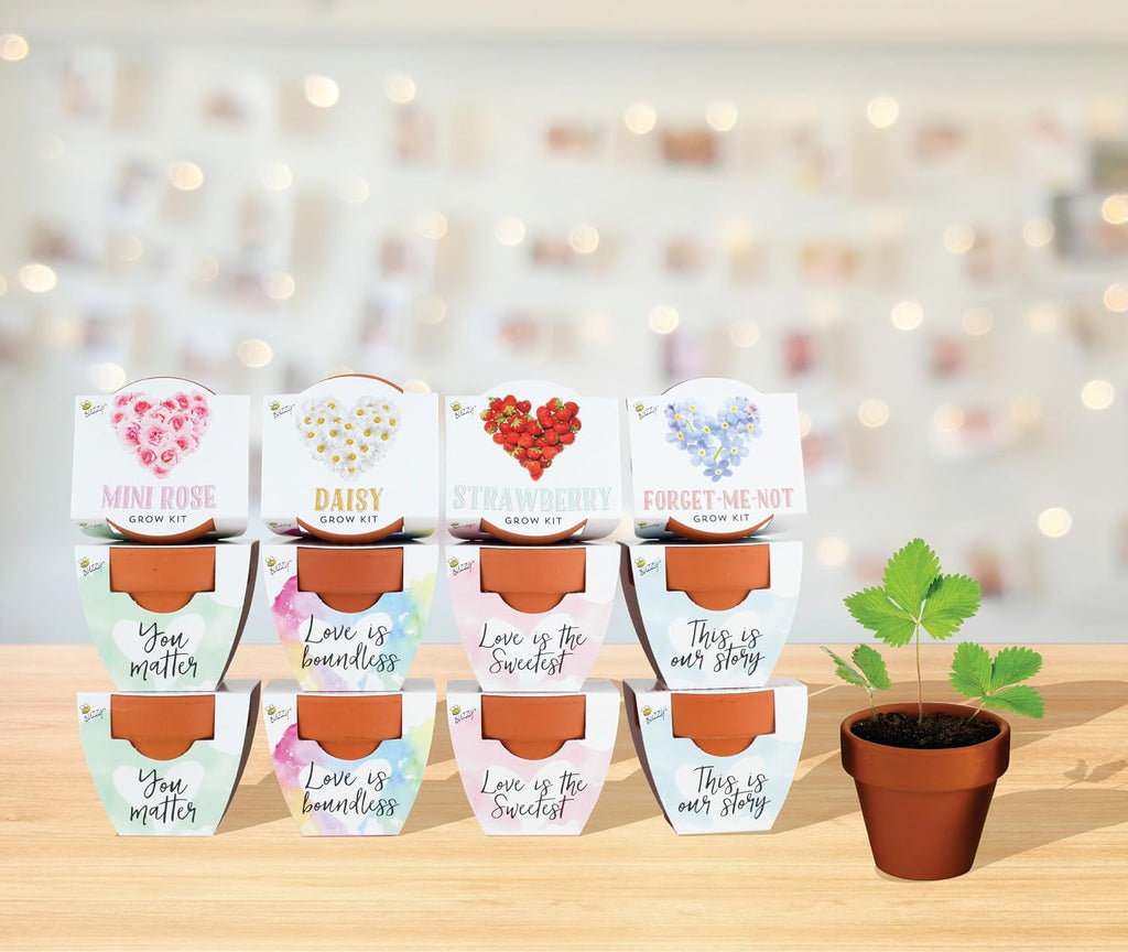 BUZZY Seeds Love Collection Grow Kit, Assorted 12-Pack - Mini Terracotta Pot Grow Set - 100% Grow Guarantee