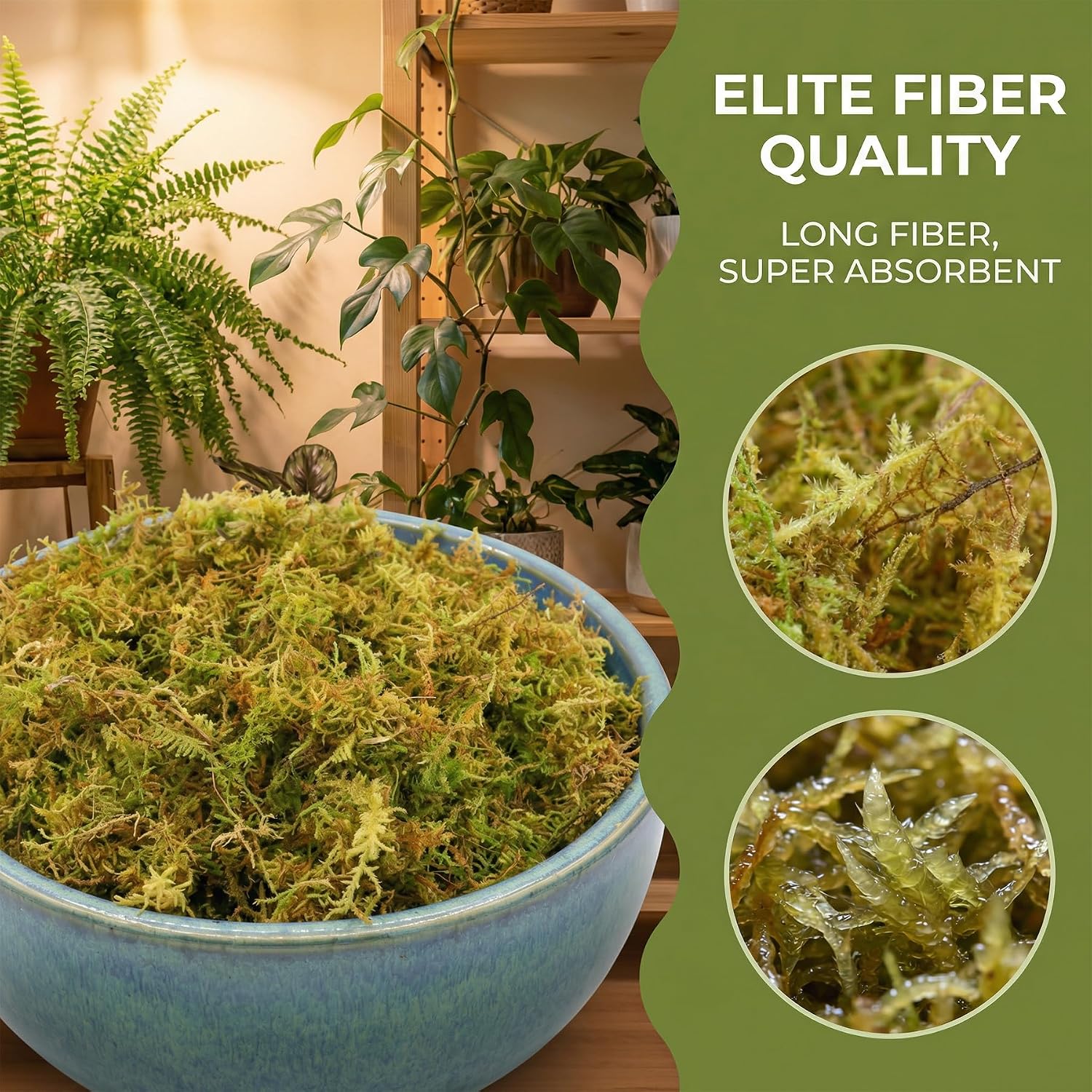 2.5 LB Sphagnum Moss for Plants, Long Fiber Orchid Moss for Carnivorous Plants, Terrariums and Indoor Potting