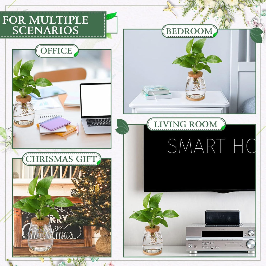 Nuanchu 4 Pcs Desktop Plant Terrarium Plant Propagation Vase Propagation Jars Glass Containers Air Planter Water