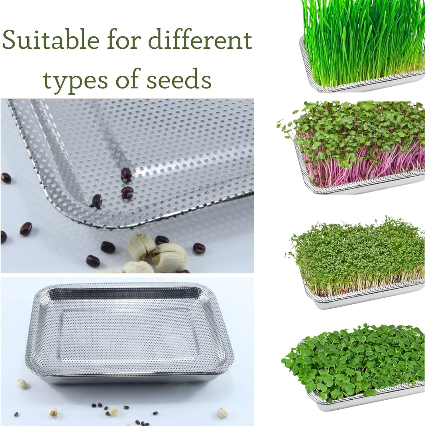 Stainless Steel Sprouting Trays -3pack,Seed Sprouting Kit, Microgreens Growing Kit, Plant Germination Tray with Filter
